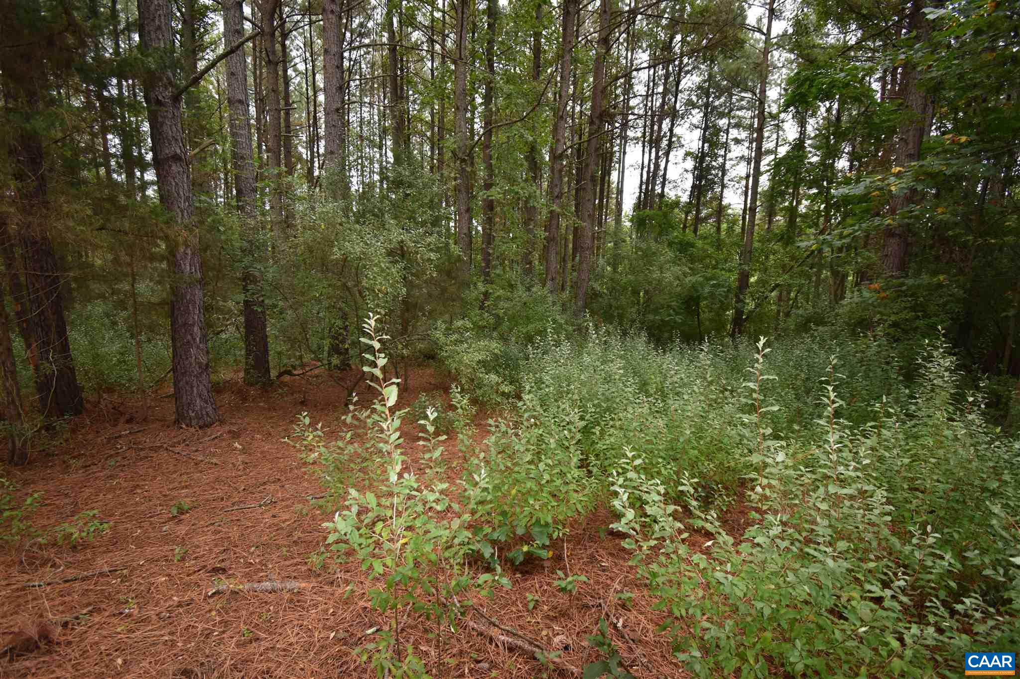 Lot 6 RIDGEVIEW DR Unit: 6