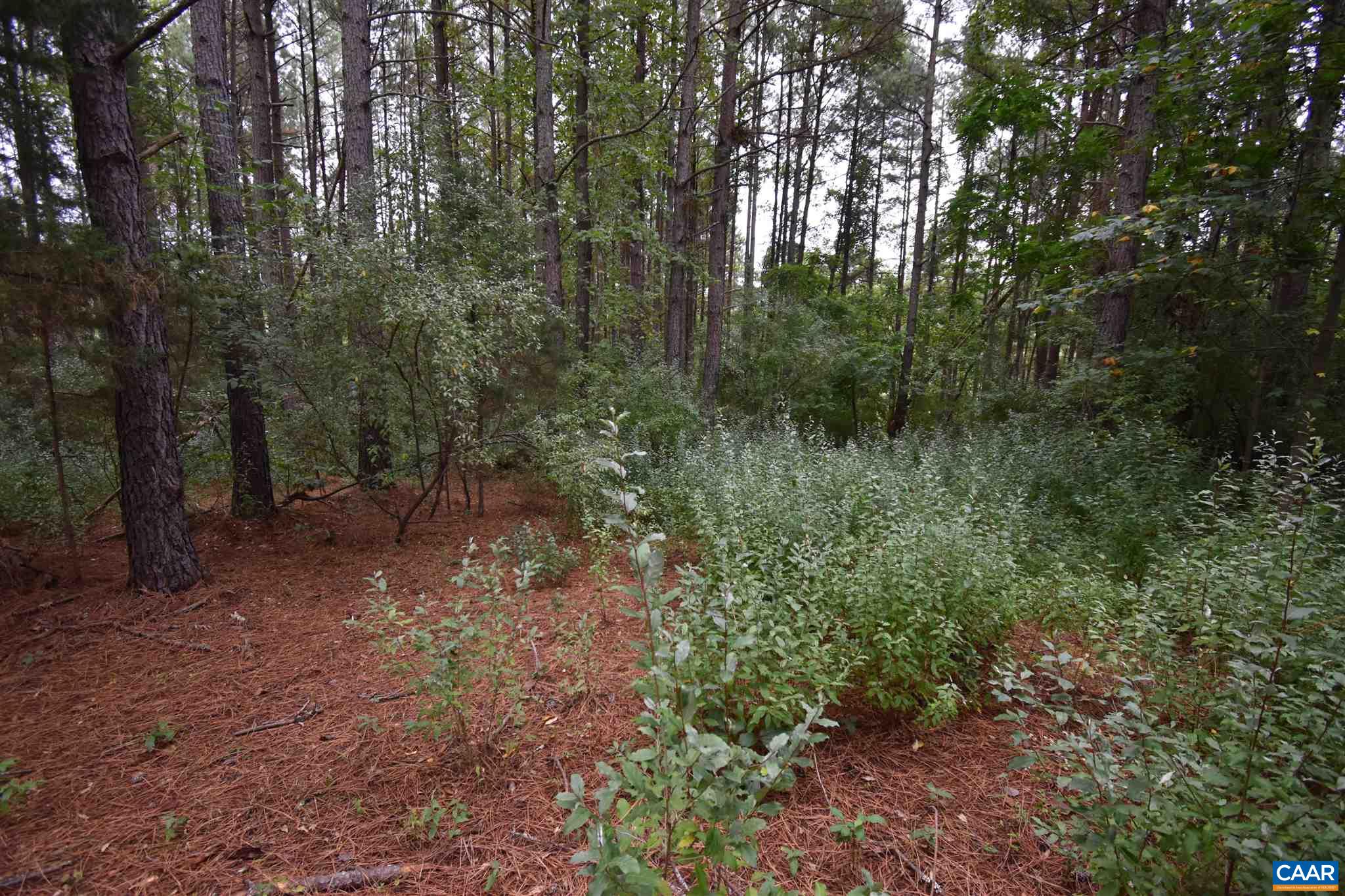 Lot 6 RIDGEVIEW DR Unit: 6