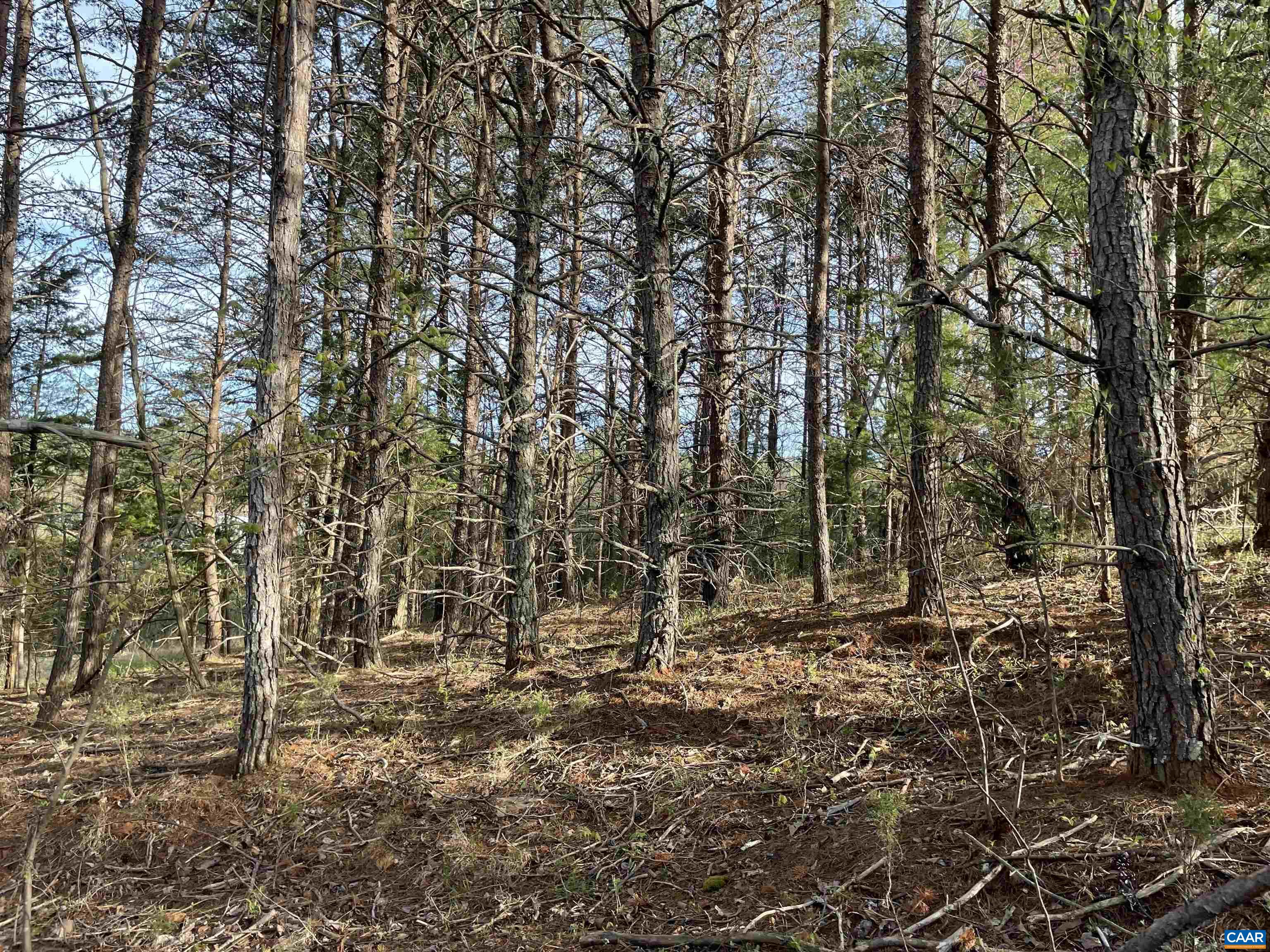 5203-B JAMES RIVER RD