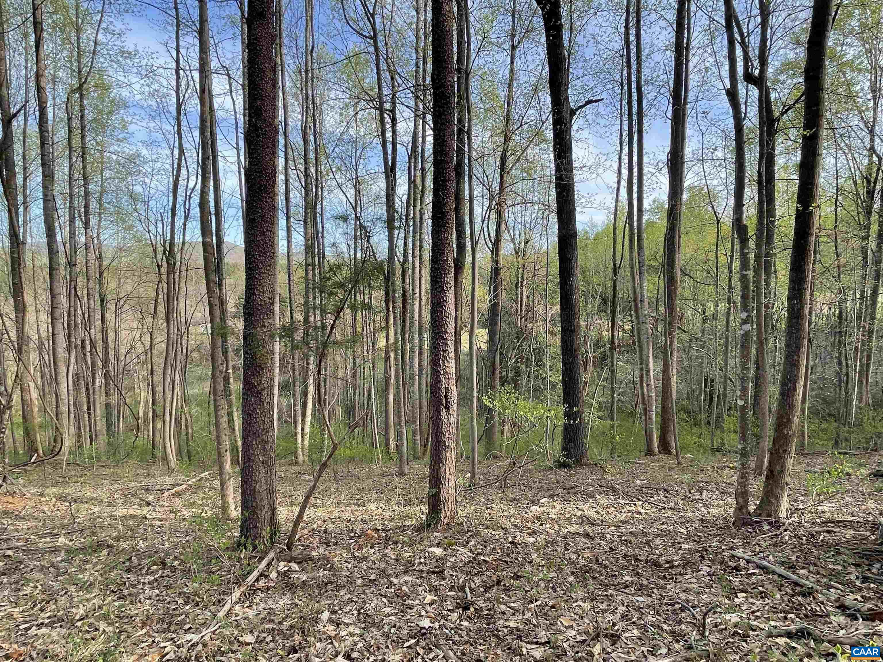 5203-B JAMES RIVER RD