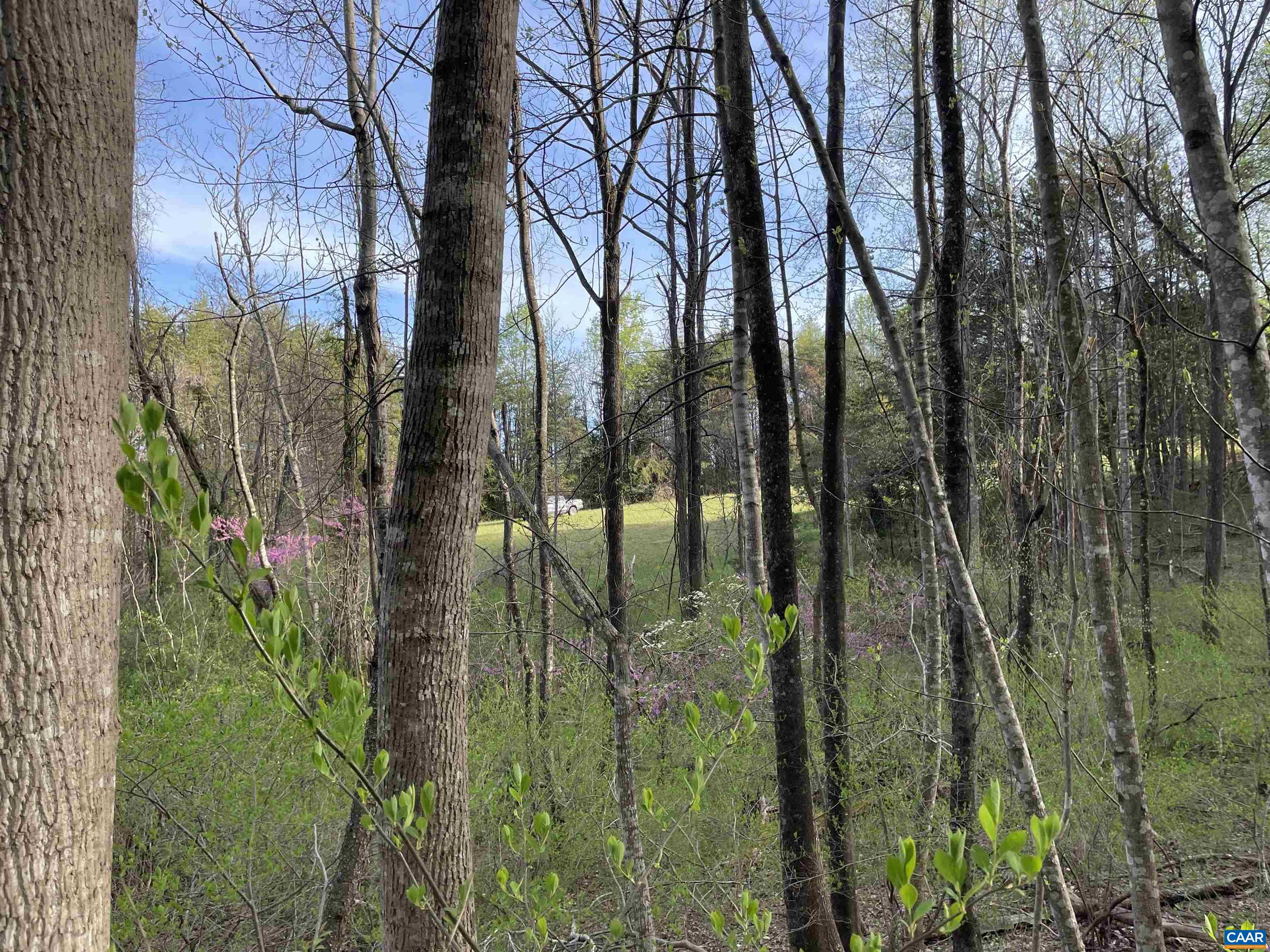 5203-B JAMES RIVER RD
