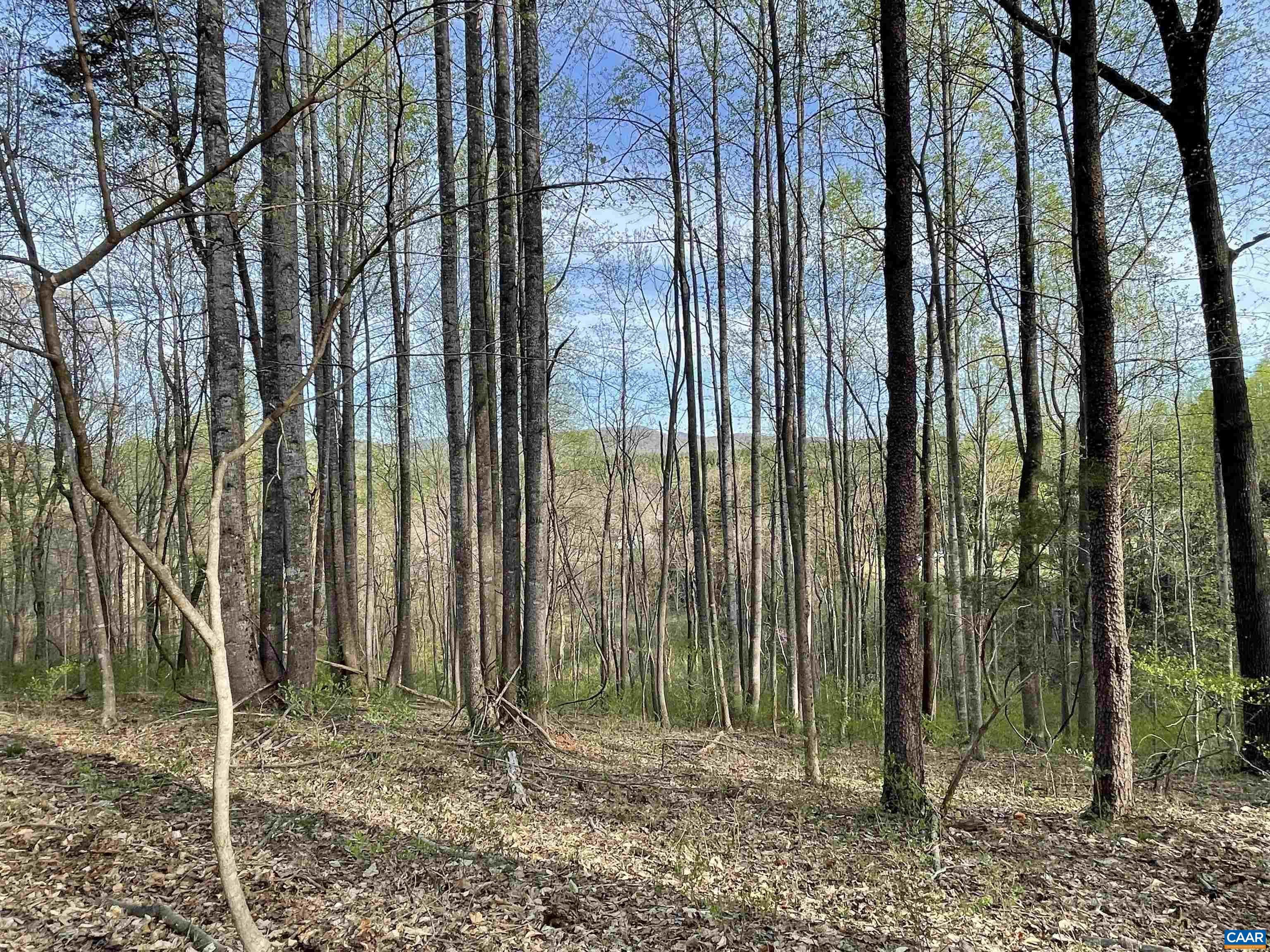 5203-B JAMES RIVER RD