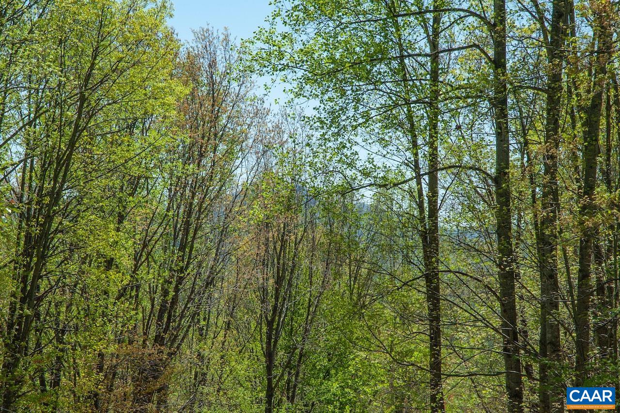 1676 ENNIS MOUNTAIN RD