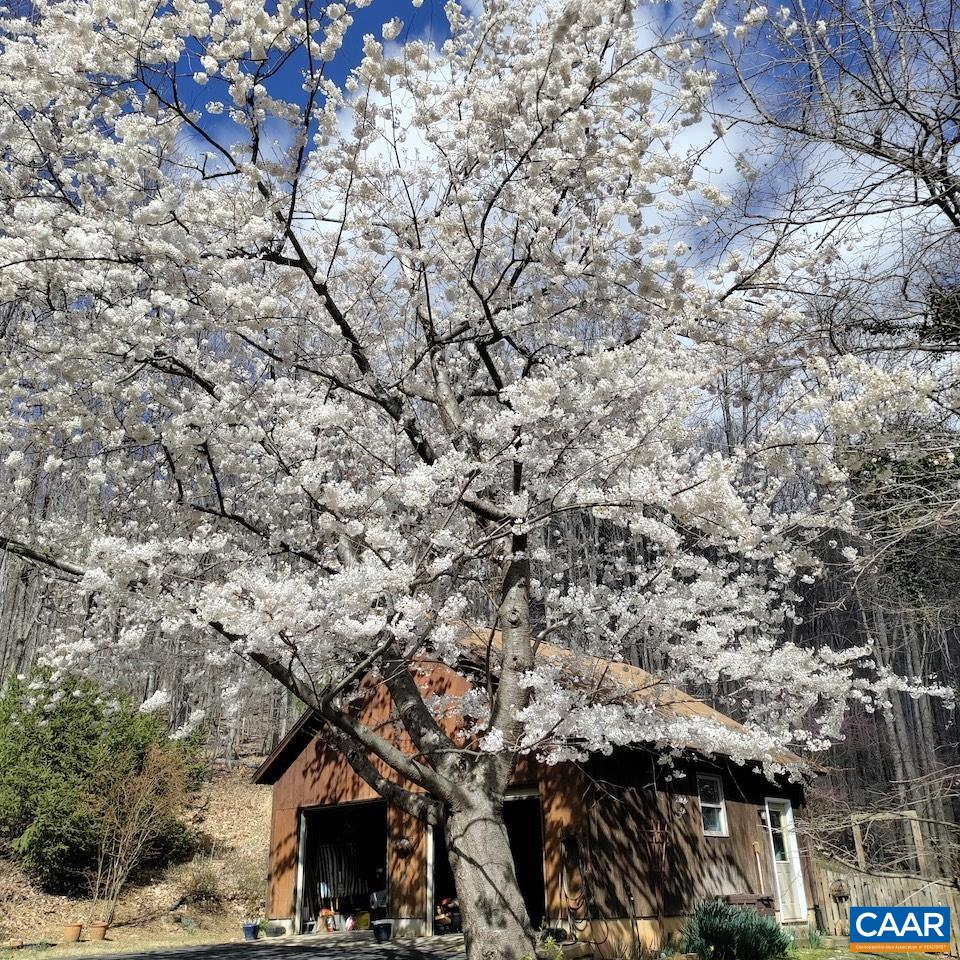 1676 ENNIS MOUNTAIN RD