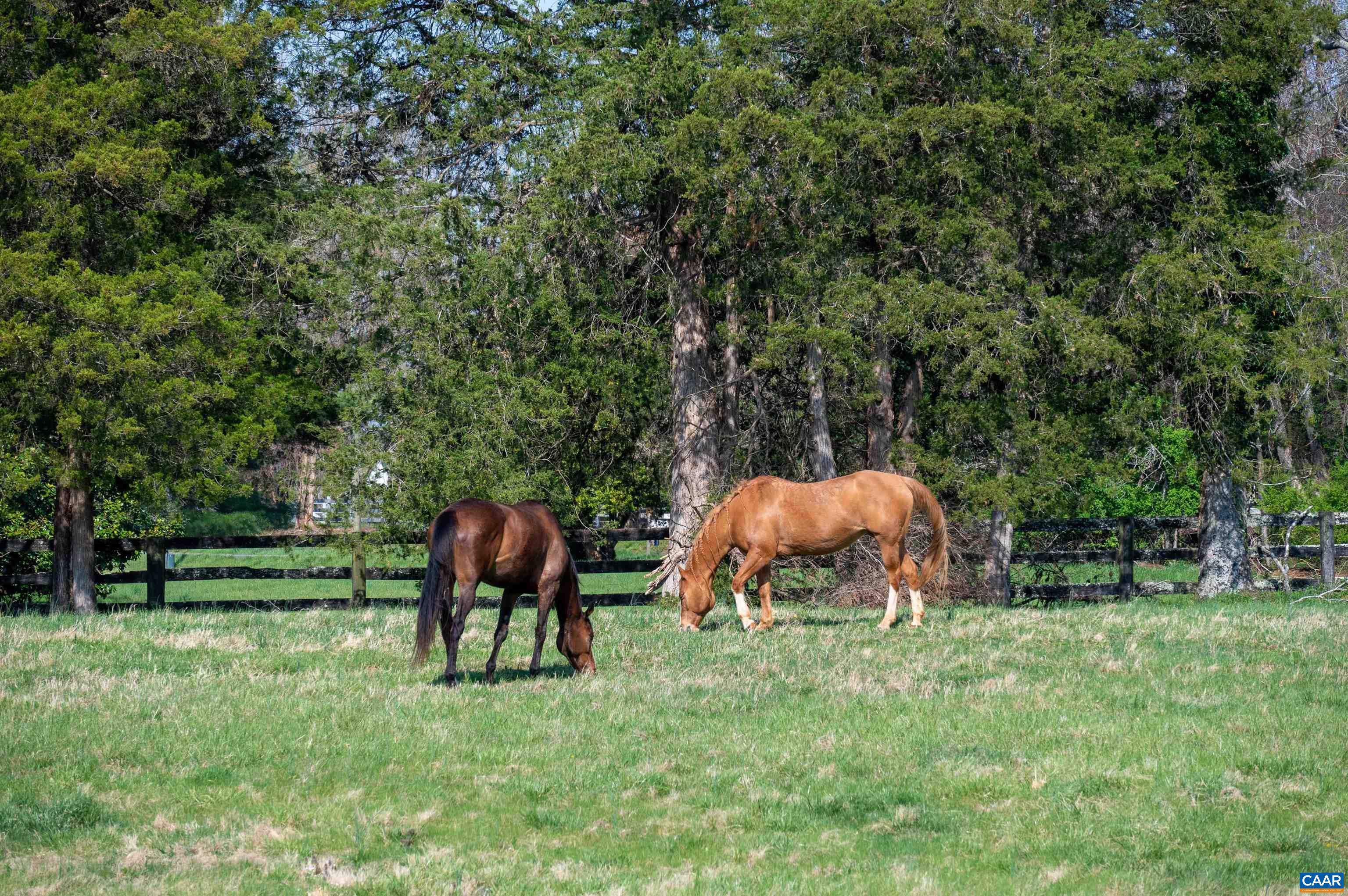 985 BARRACKS FARM RD