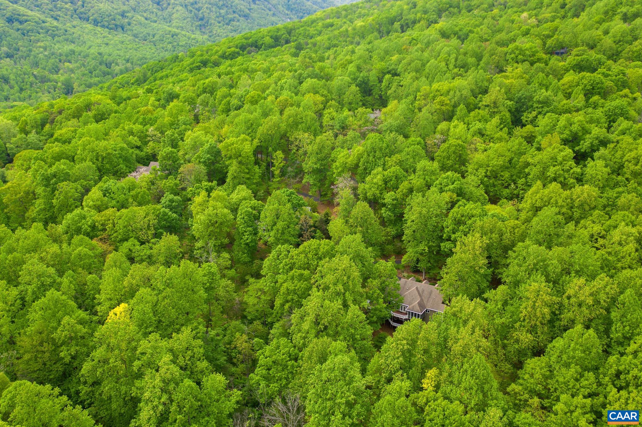 190 HOODED WARBLER LN