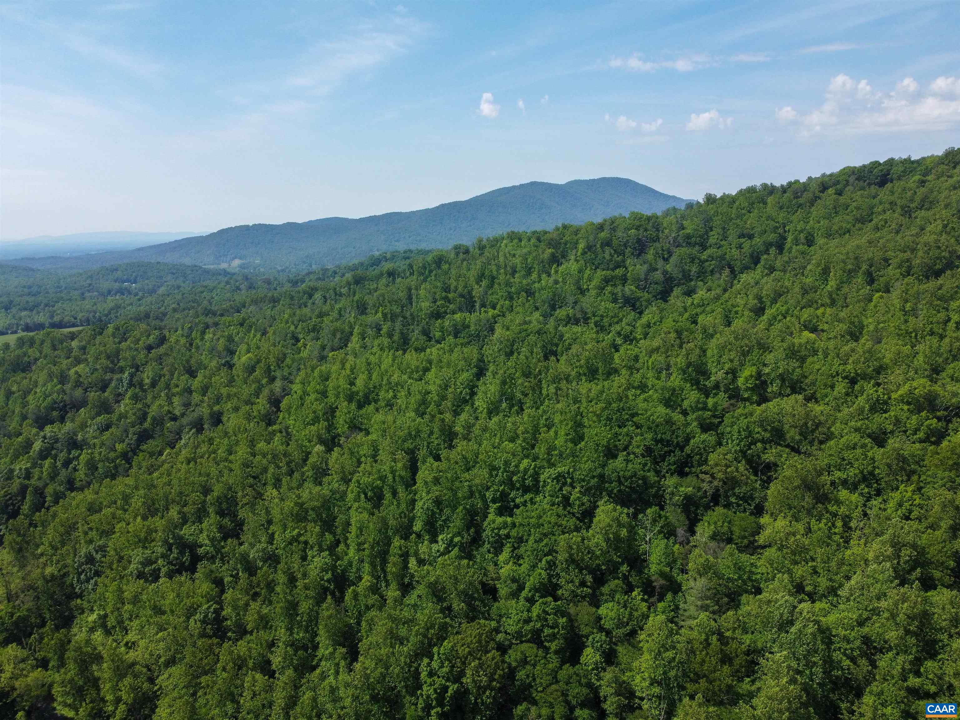 3445 SIMMONS GAP RD