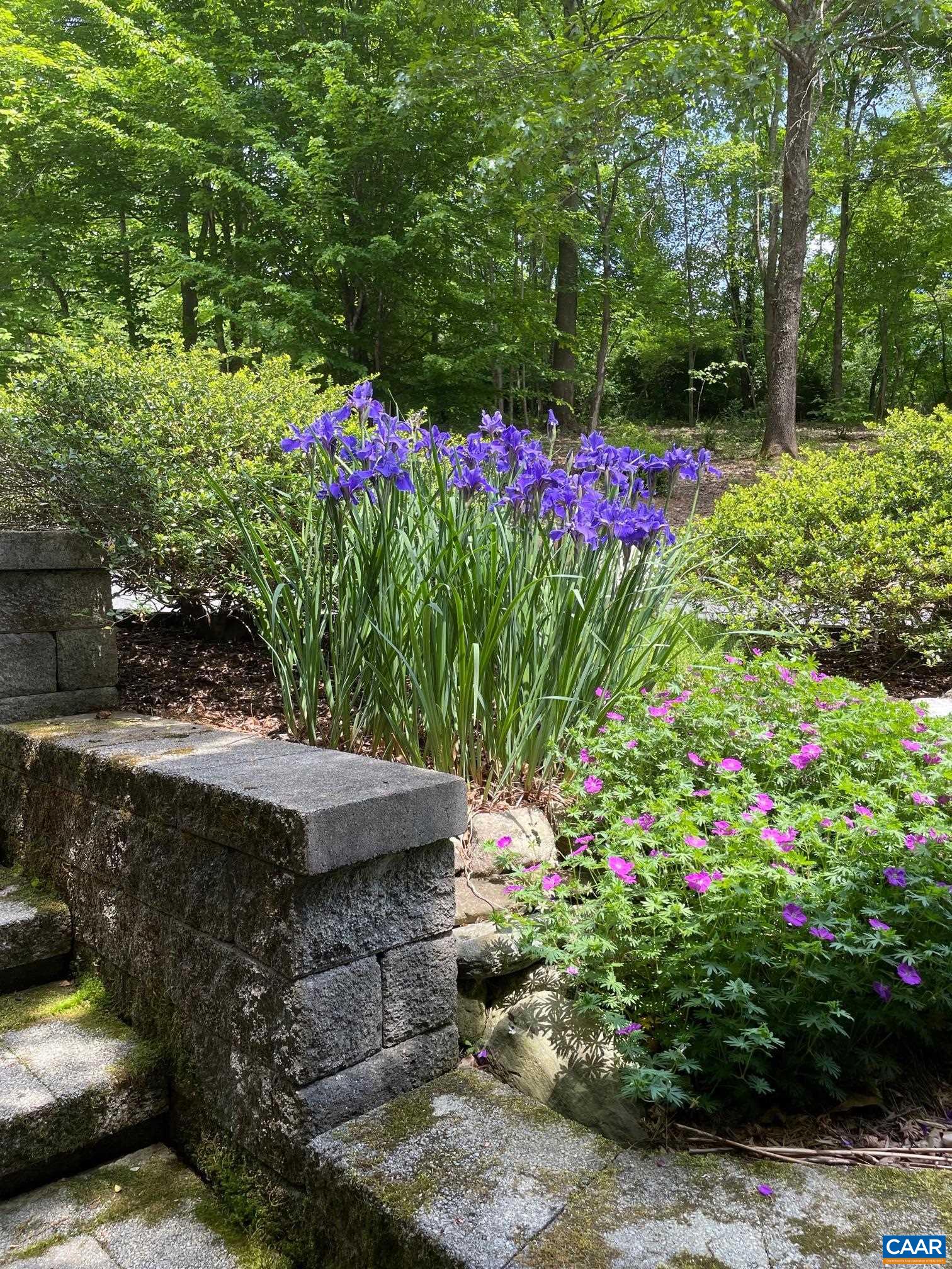 3794 OLD ROBERTS MOUNTAIN RD