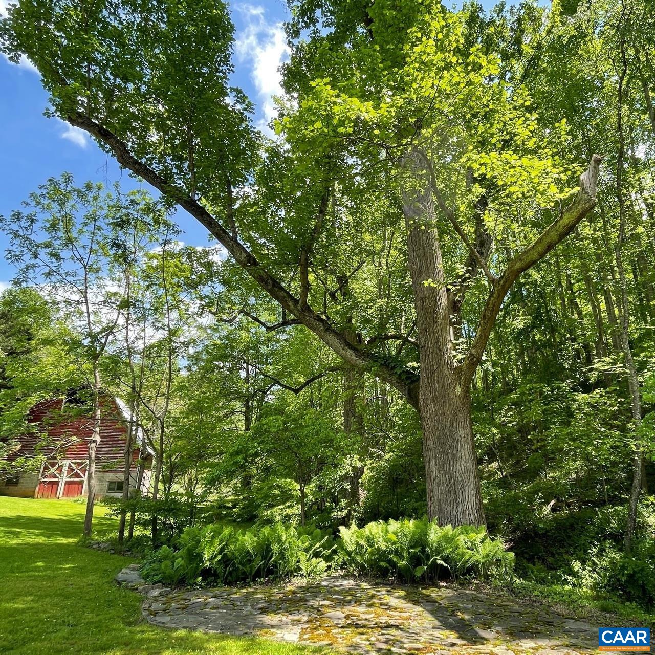3794 OLD ROBERTS MOUNTAIN RD