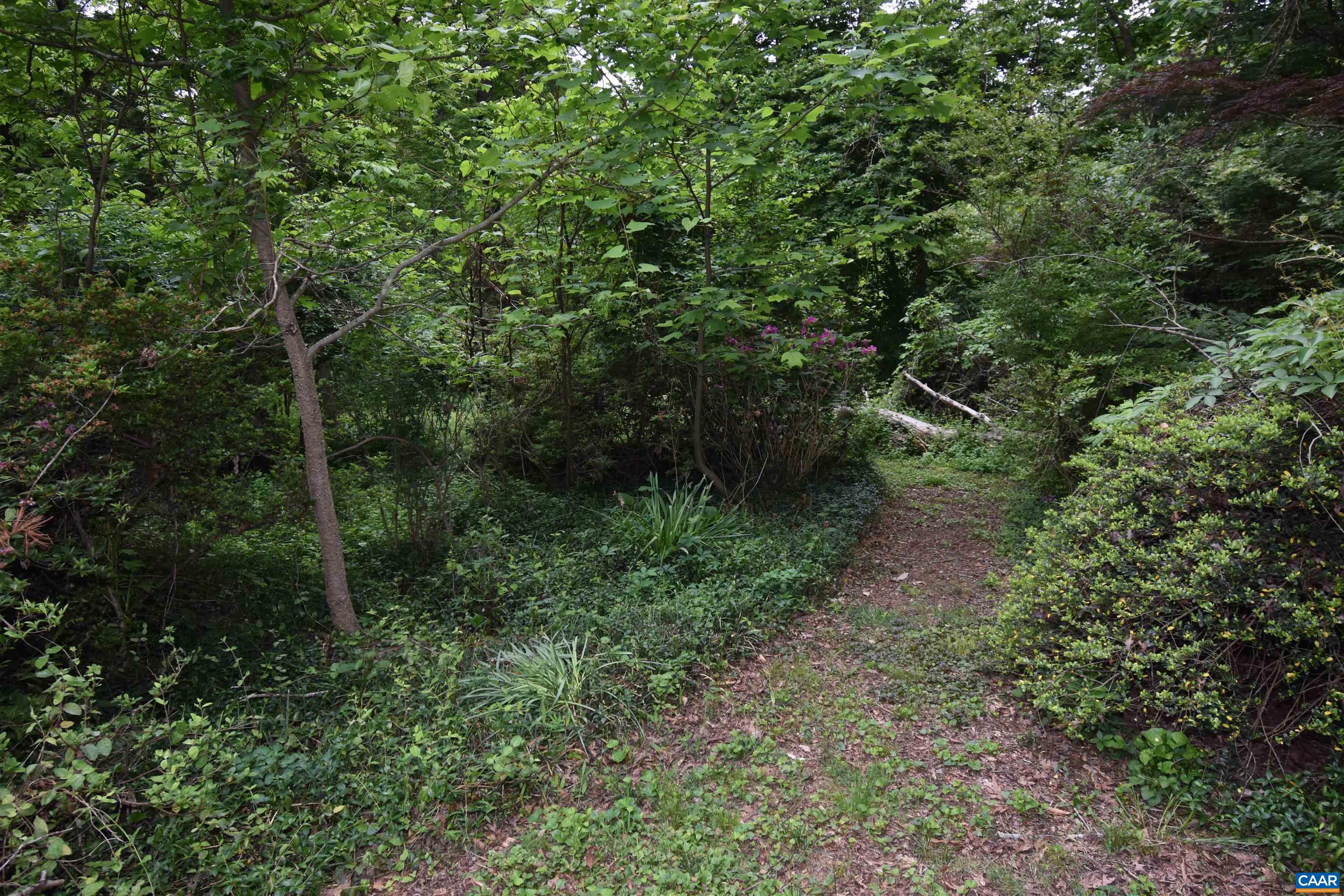 7032 CELT RD
