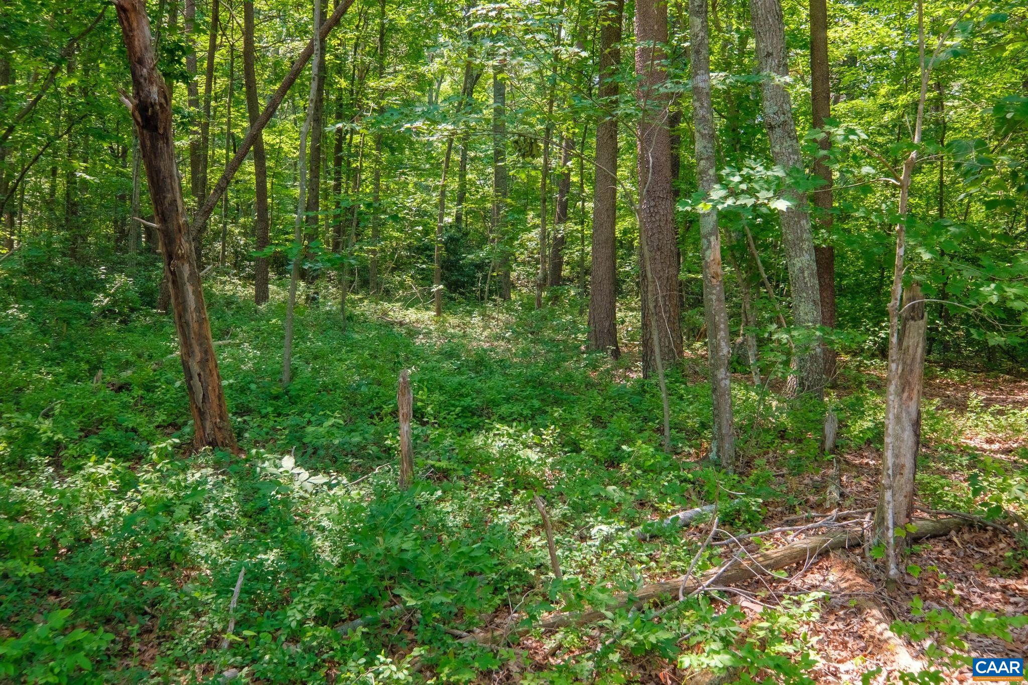 TBD LAUREL RD