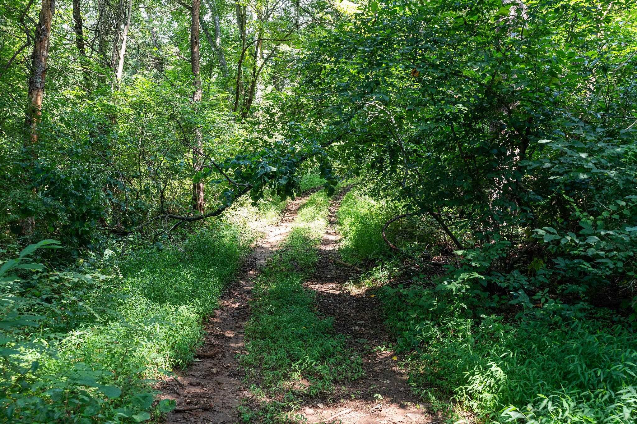 200 HEATHER CREST PL