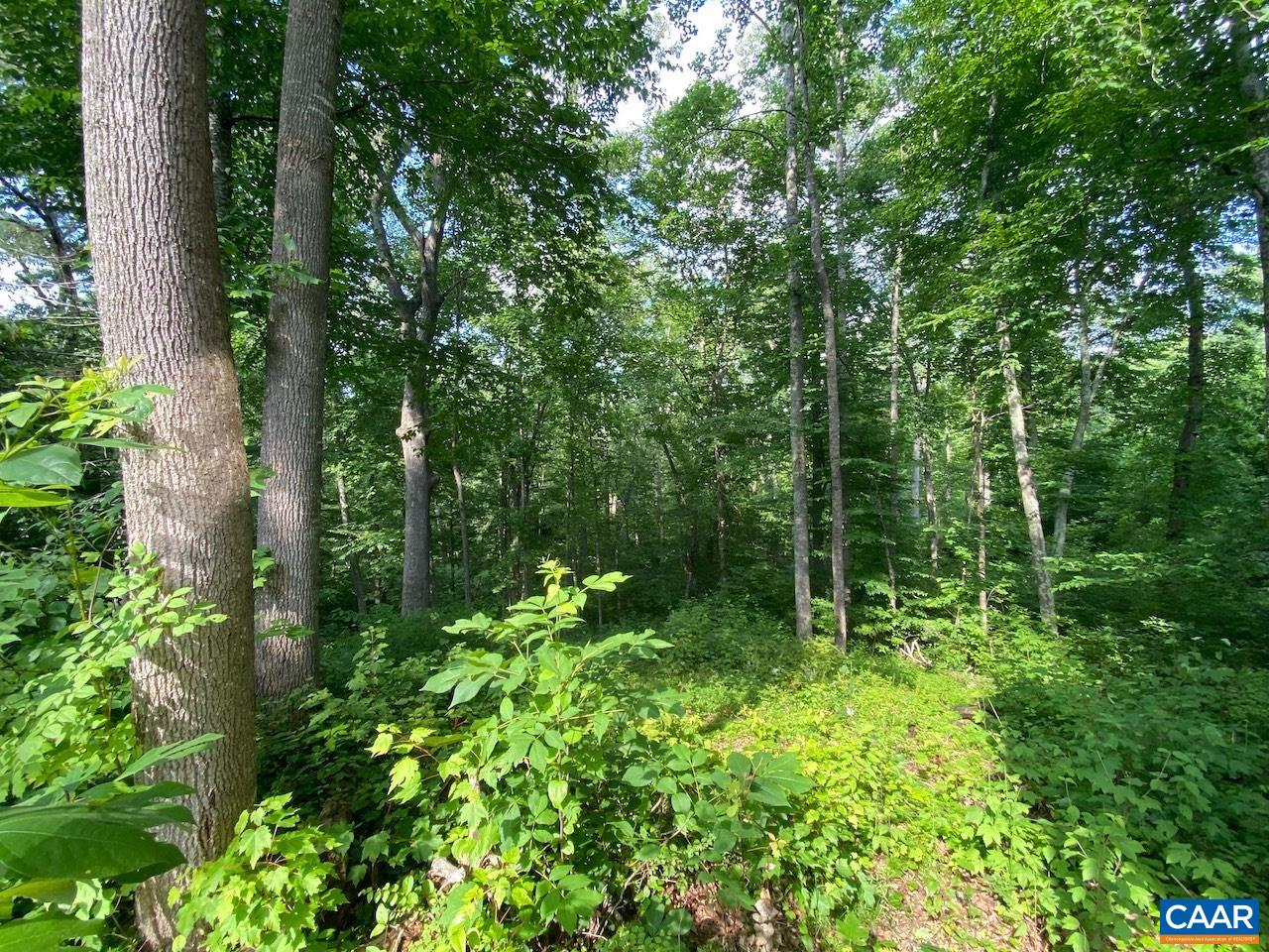 FINDLAY MOUNTAIN RD