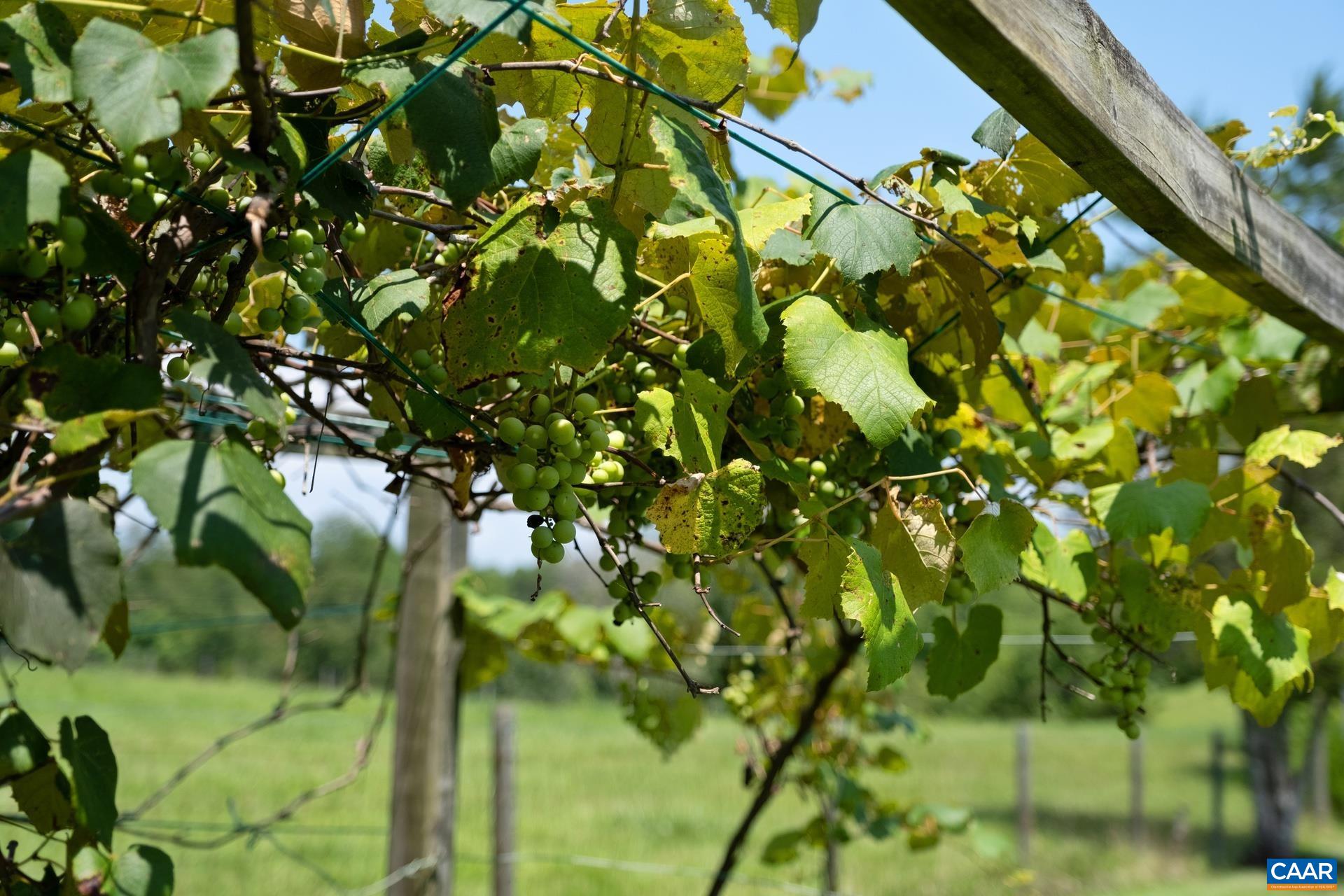 1473 BYBEES CHURCH RD