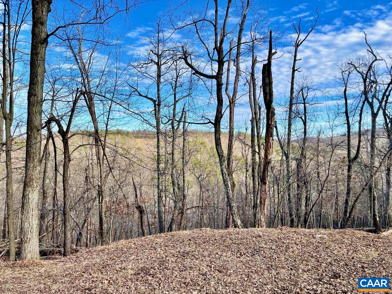 MOUNTAIN LAUREL LN Unit: 2