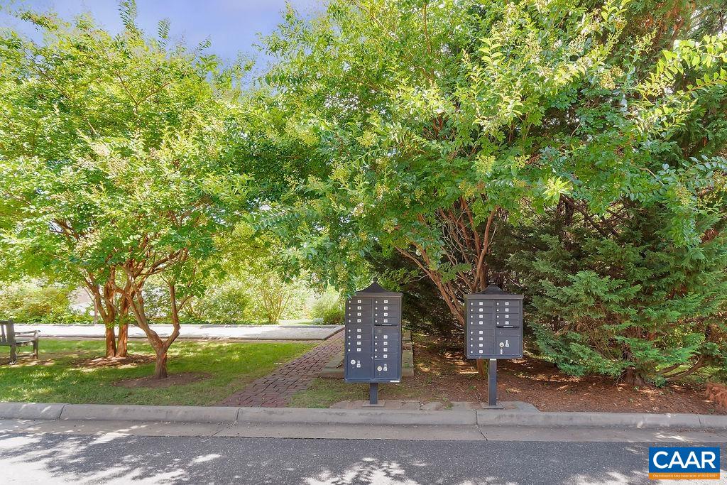 508 TULIP TREE CT