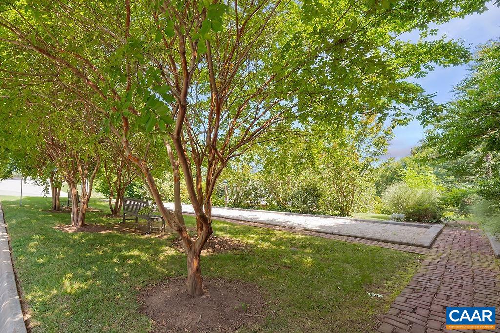 508 TULIP TREE CT