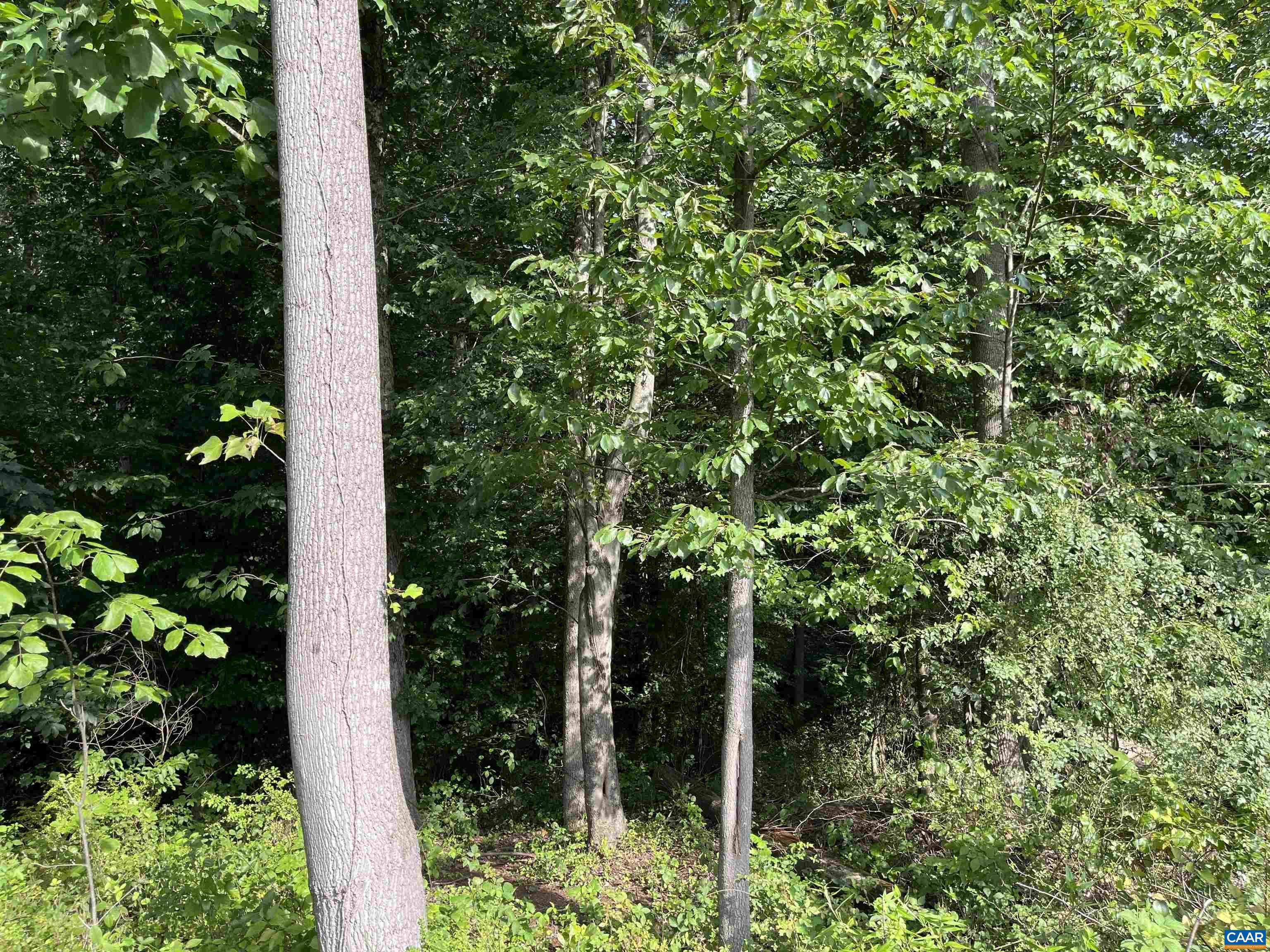 PARK RD Unit: Acreage C Lot 045A4
