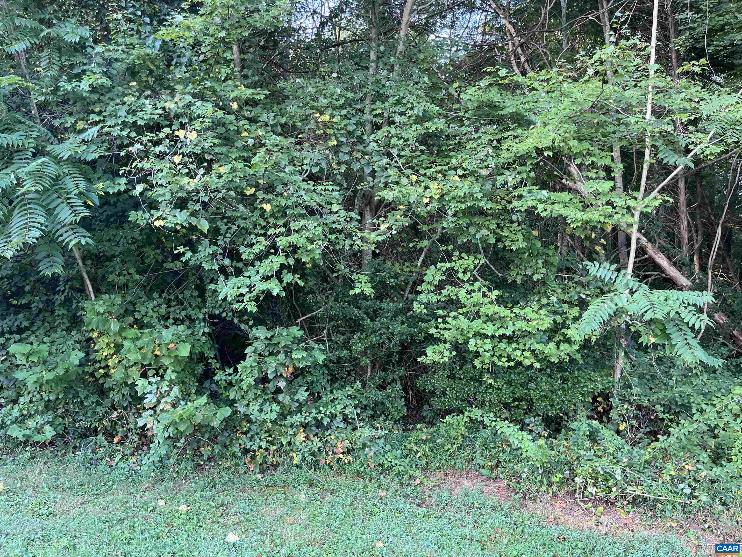 68 RAVEN WAY