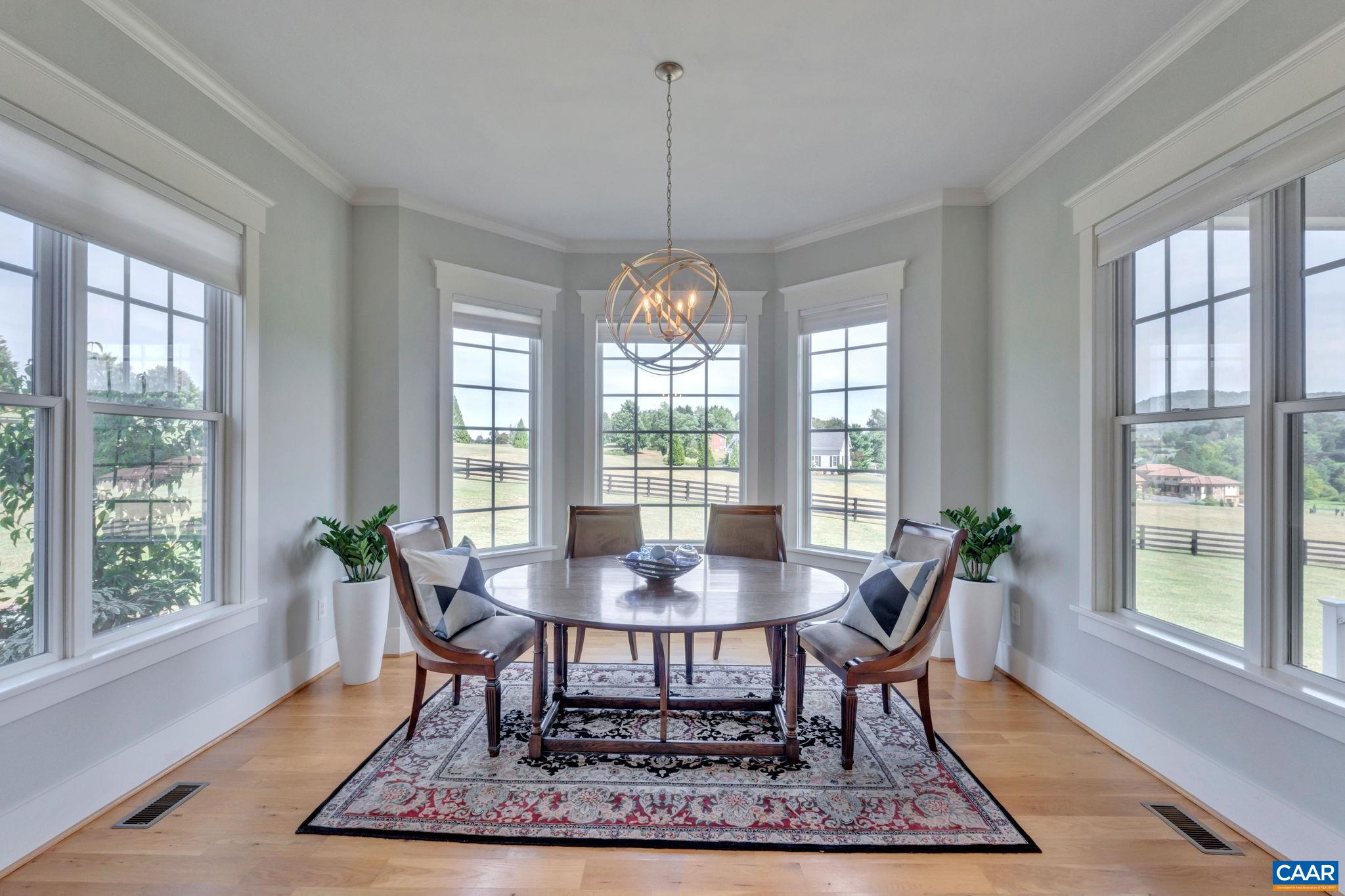 313 RAGGED MOUNTAIN DR