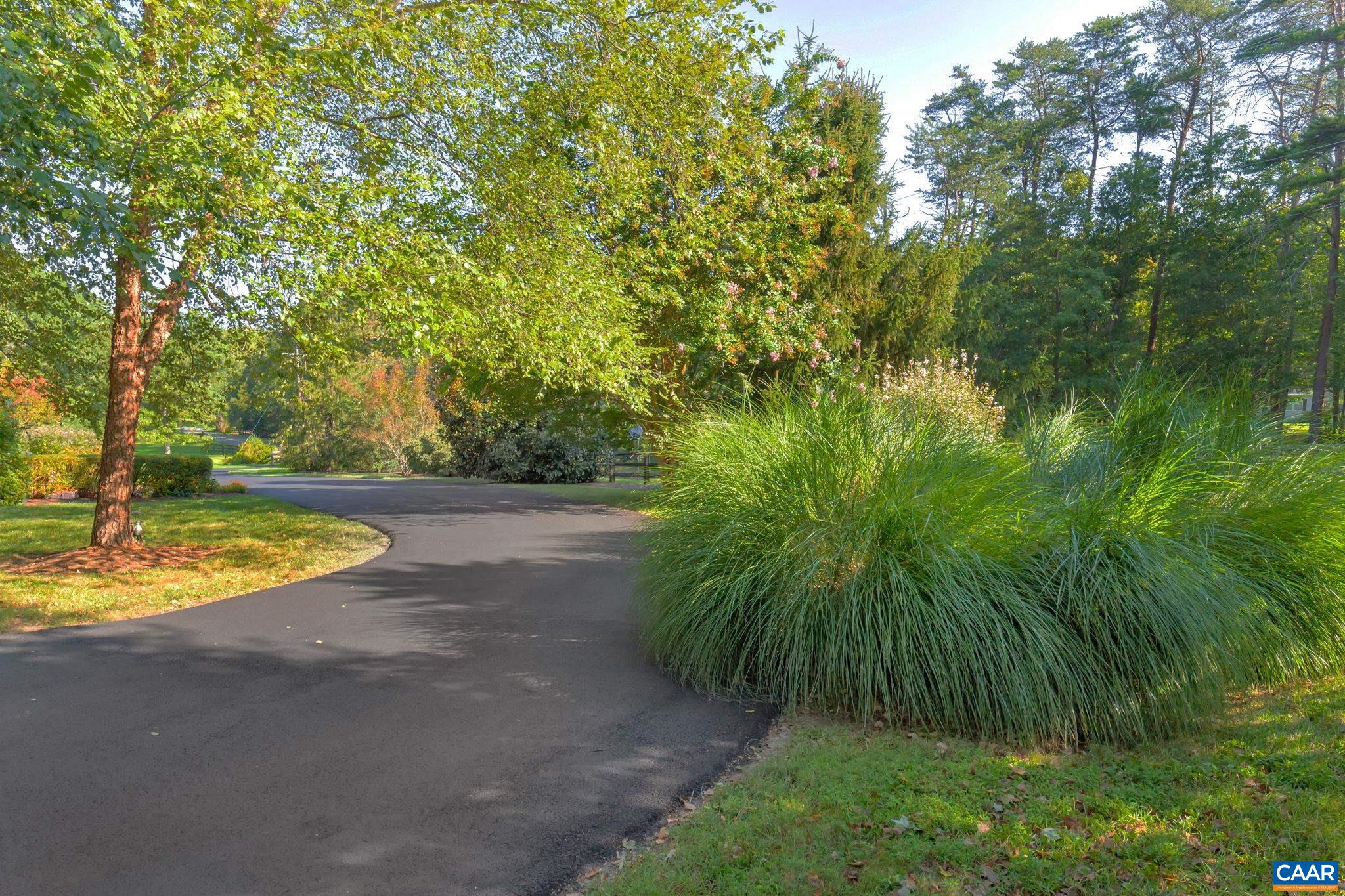 820 BLACK CAT RD