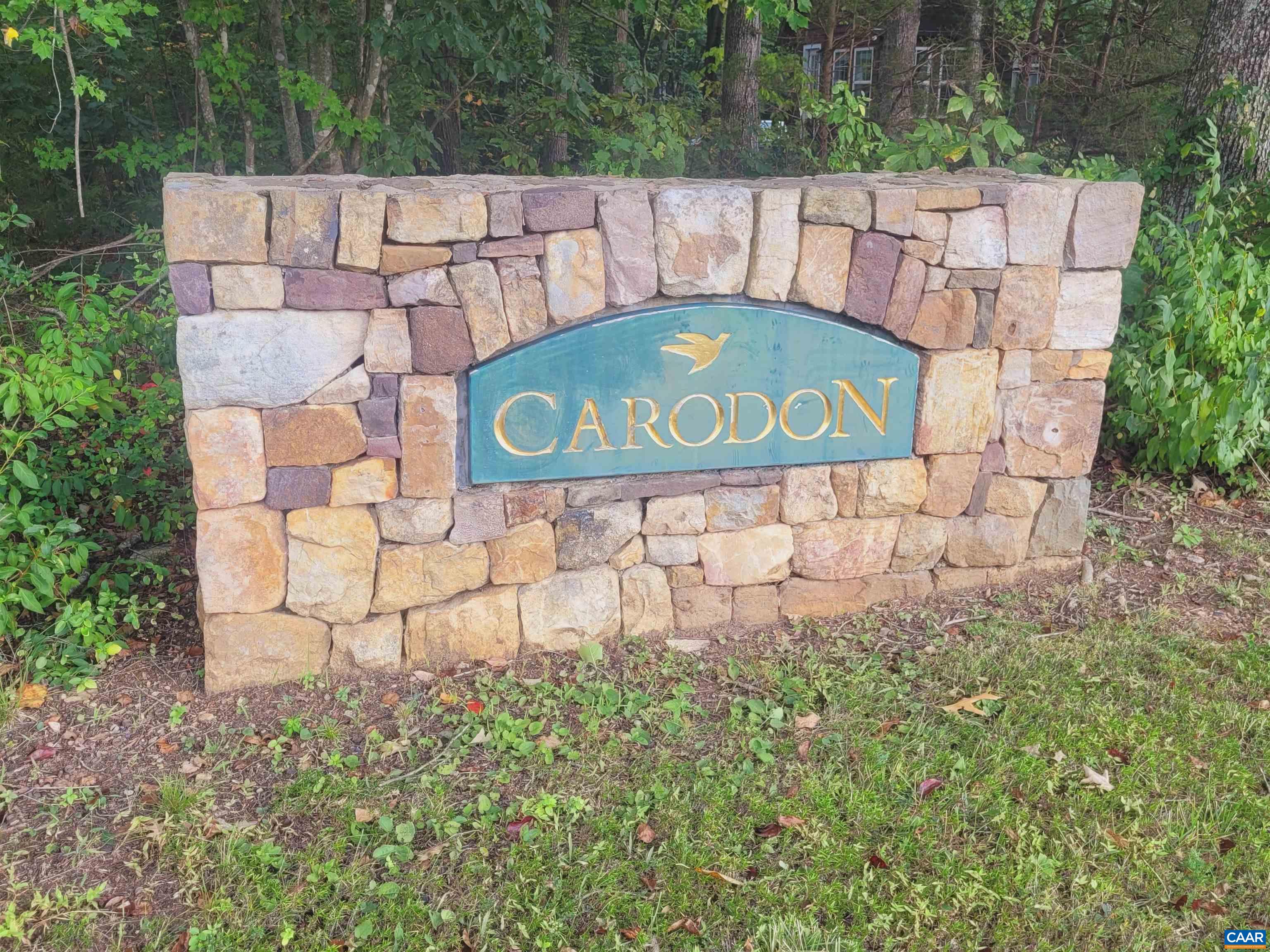 313 CARODON DR
