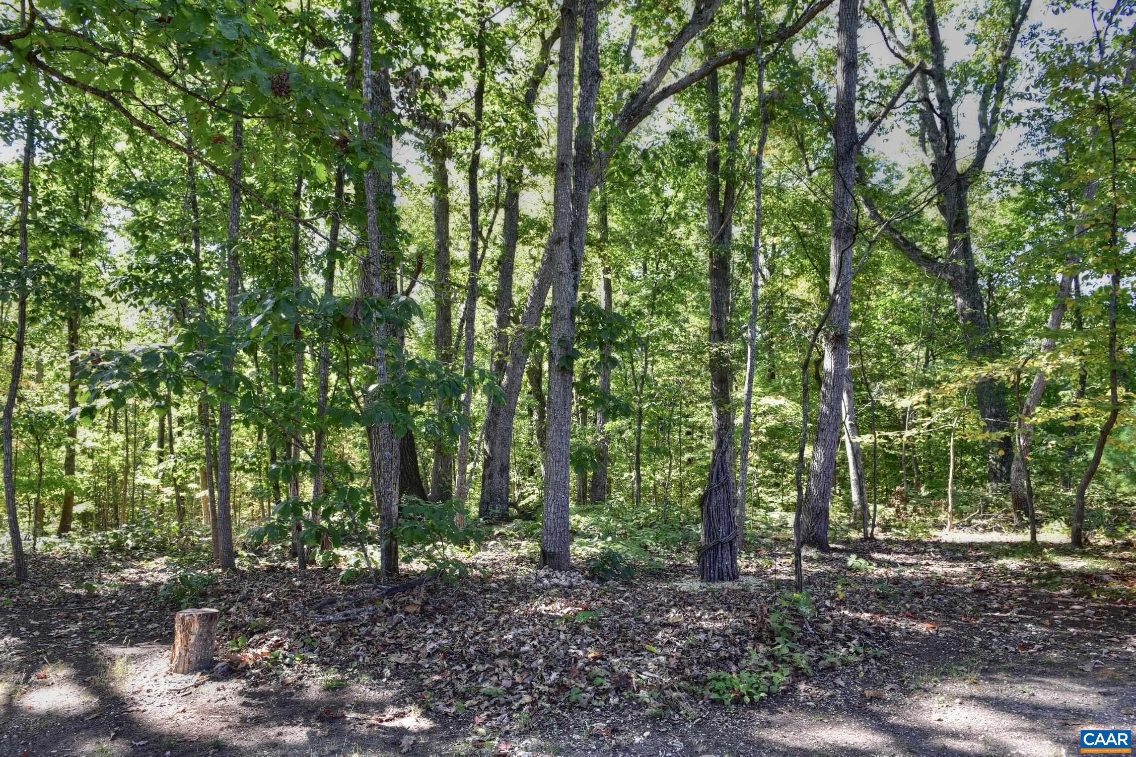 155 BUCK MOUNTAIN RD