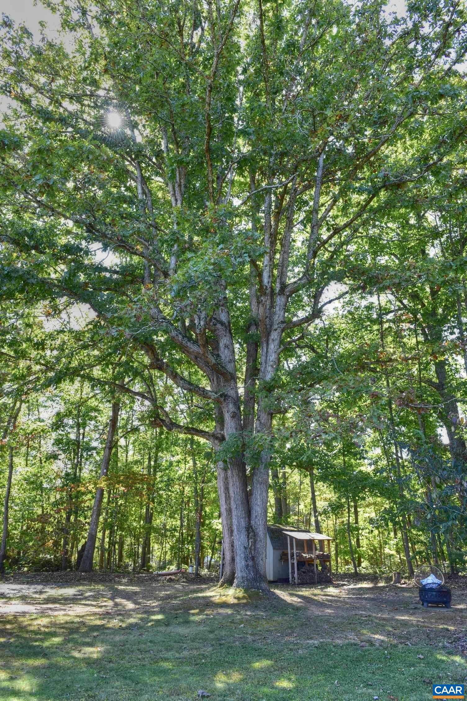 155 BUCK MOUNTAIN RD