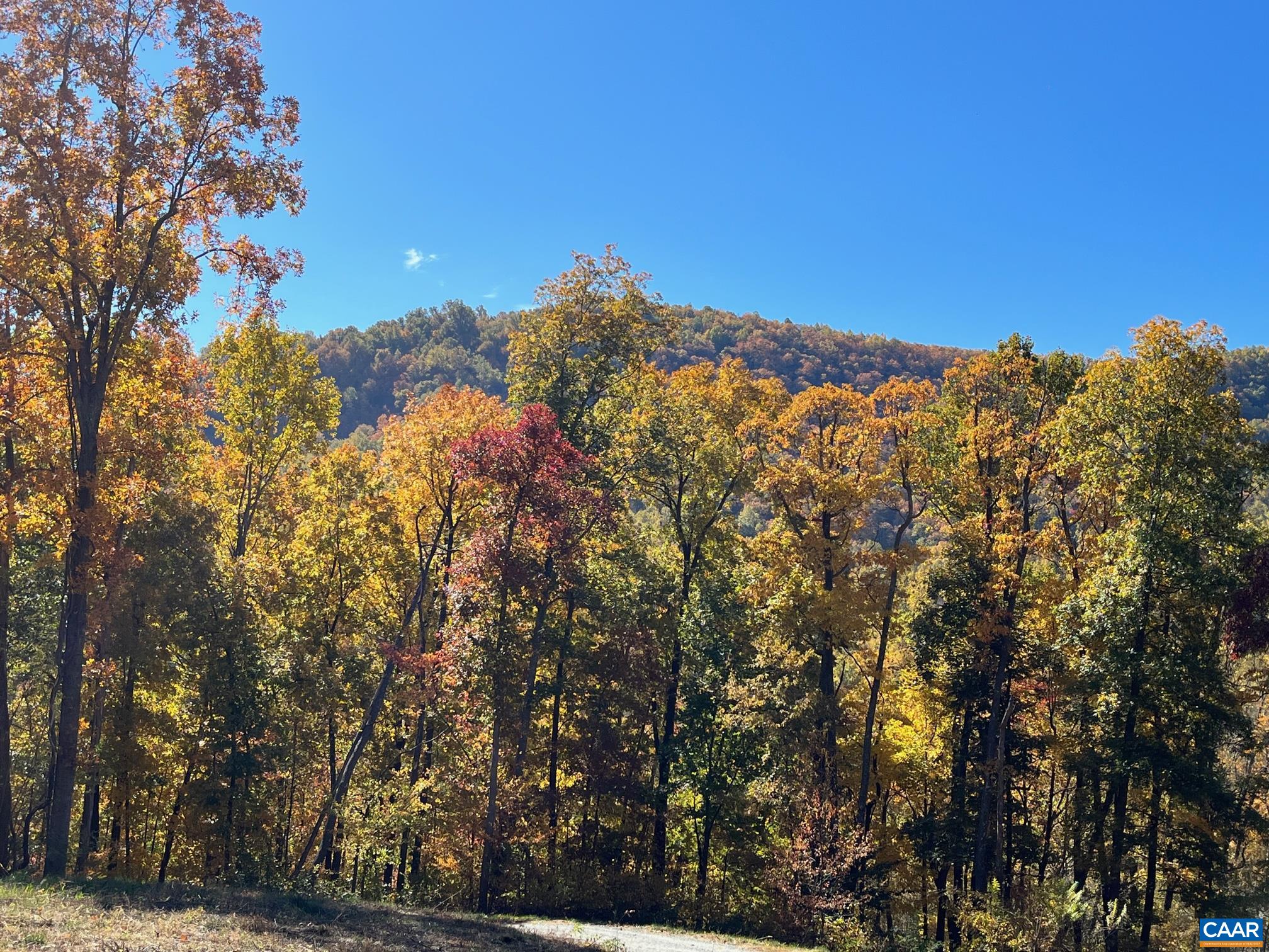 9360 CRABTREE FALLS HWY