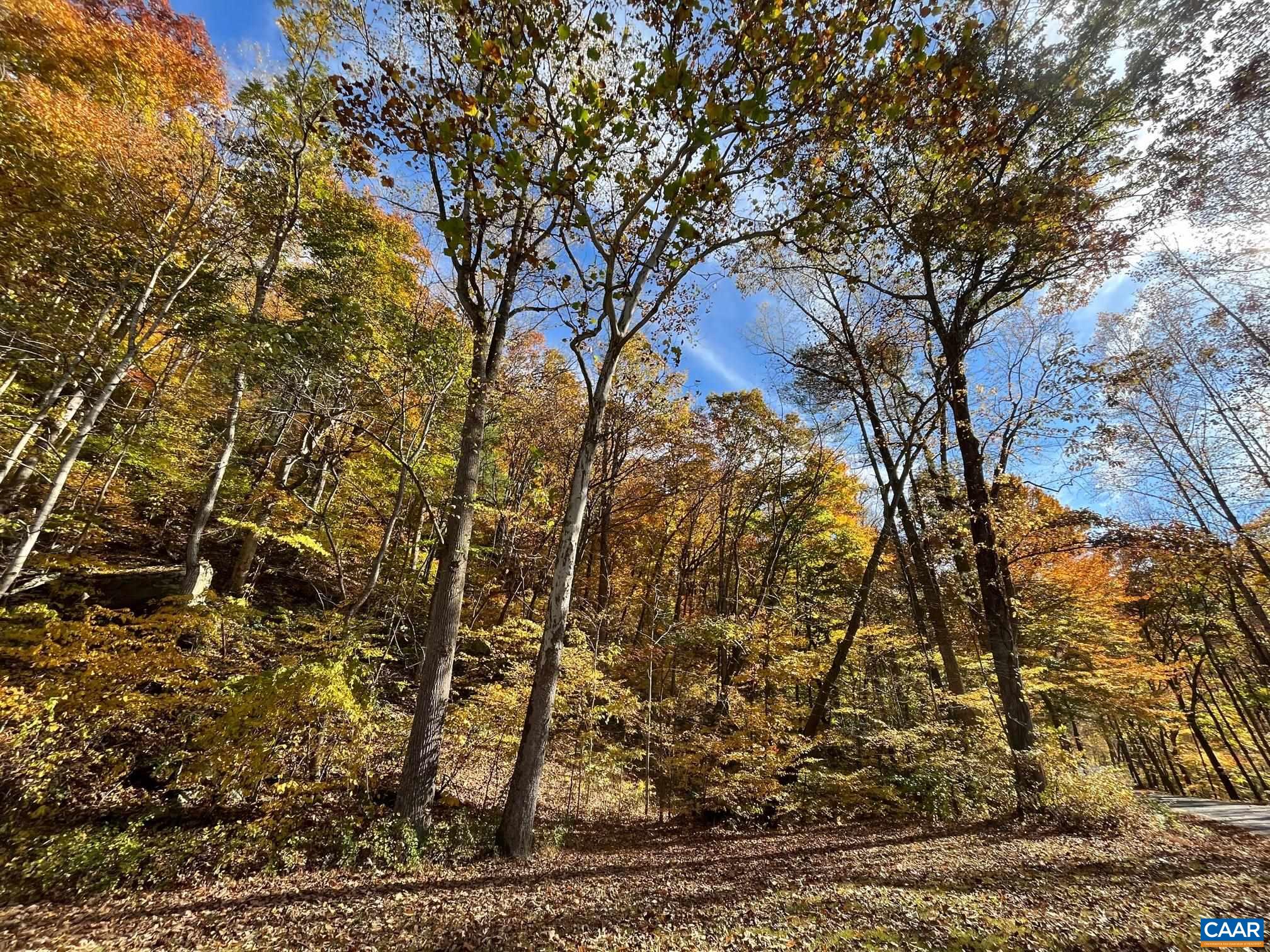 9360 CRABTREE FALLS HWY