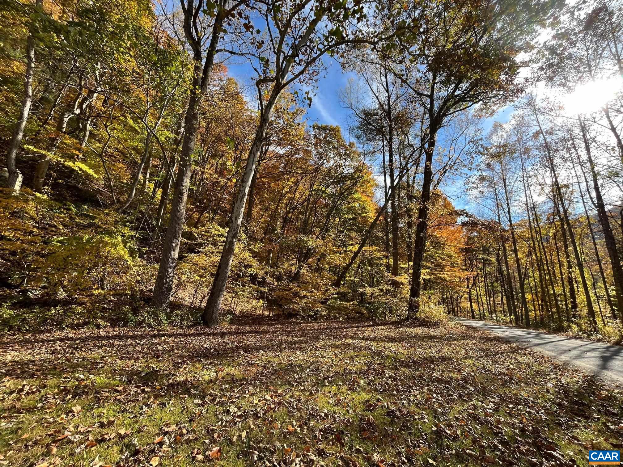 9360 CRABTREE FALLS HWY