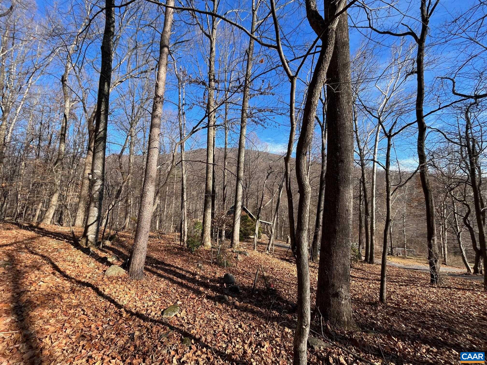 1677 OLD STONEY CREEK RD