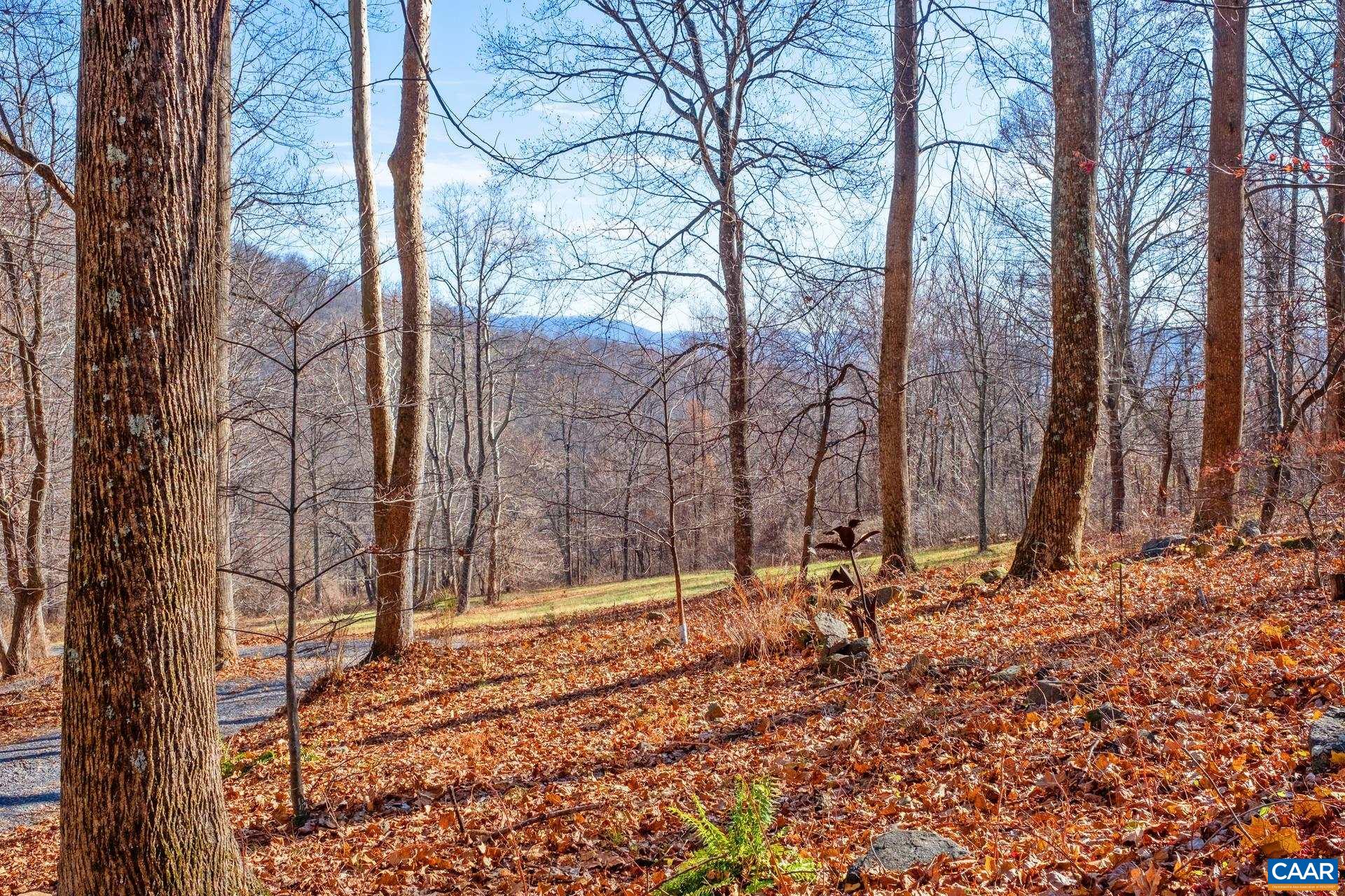 1677 OLD STONEY CREEK RD