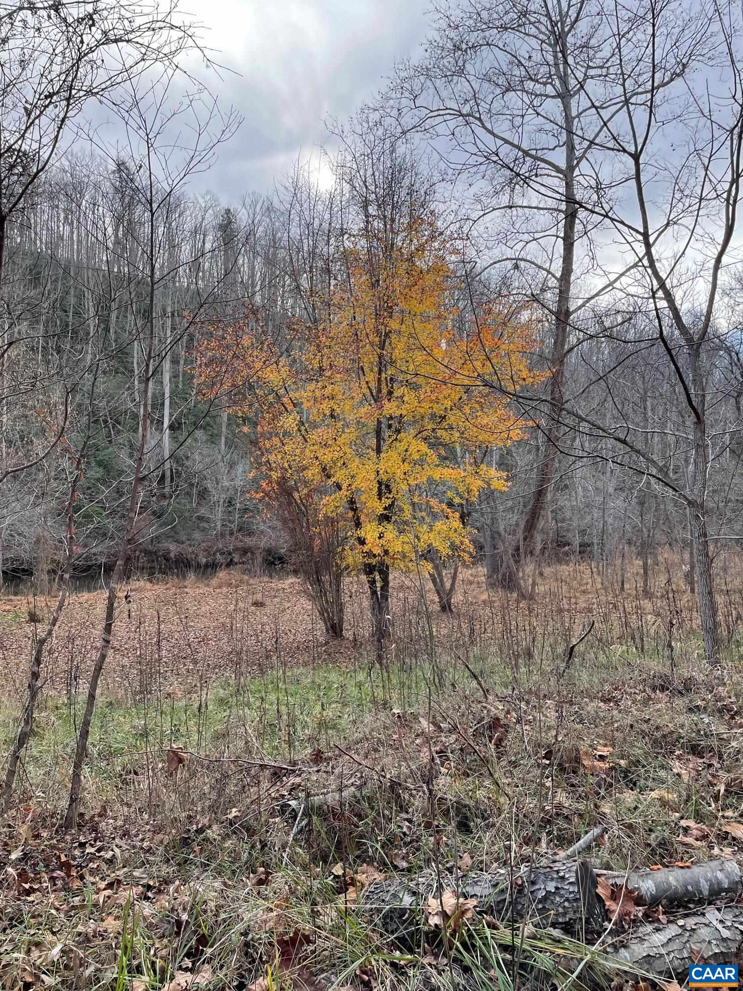 8873 ROCKFISH RIVER RD