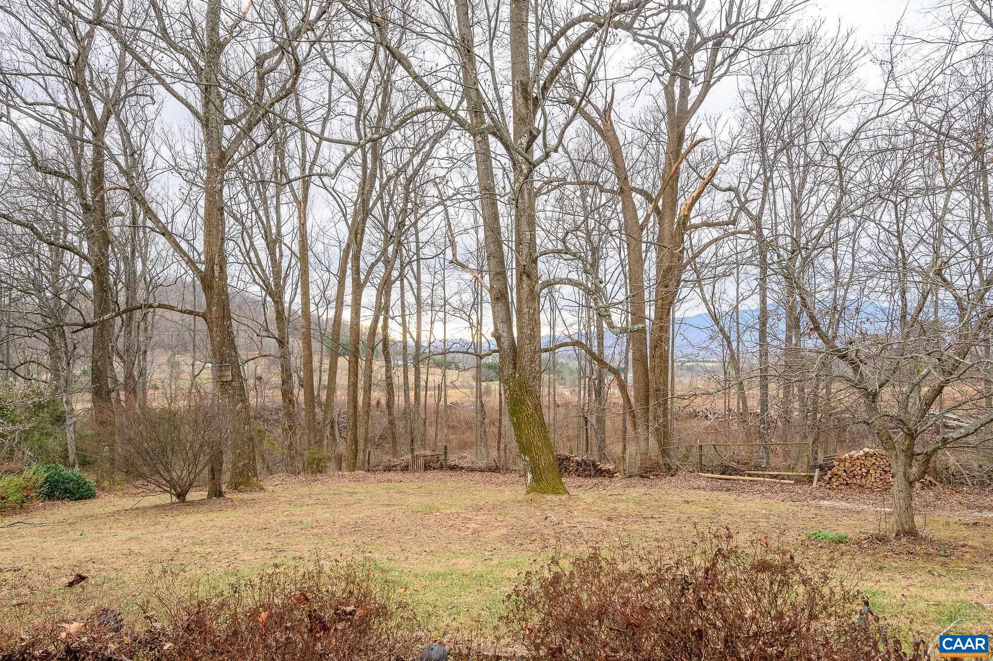 9165 DICK WOODS RD