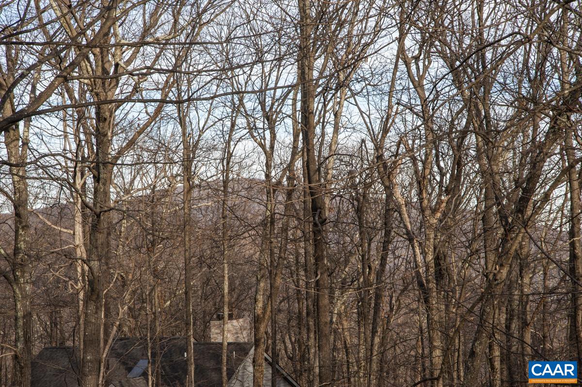 204 TIMBER CAMP DR