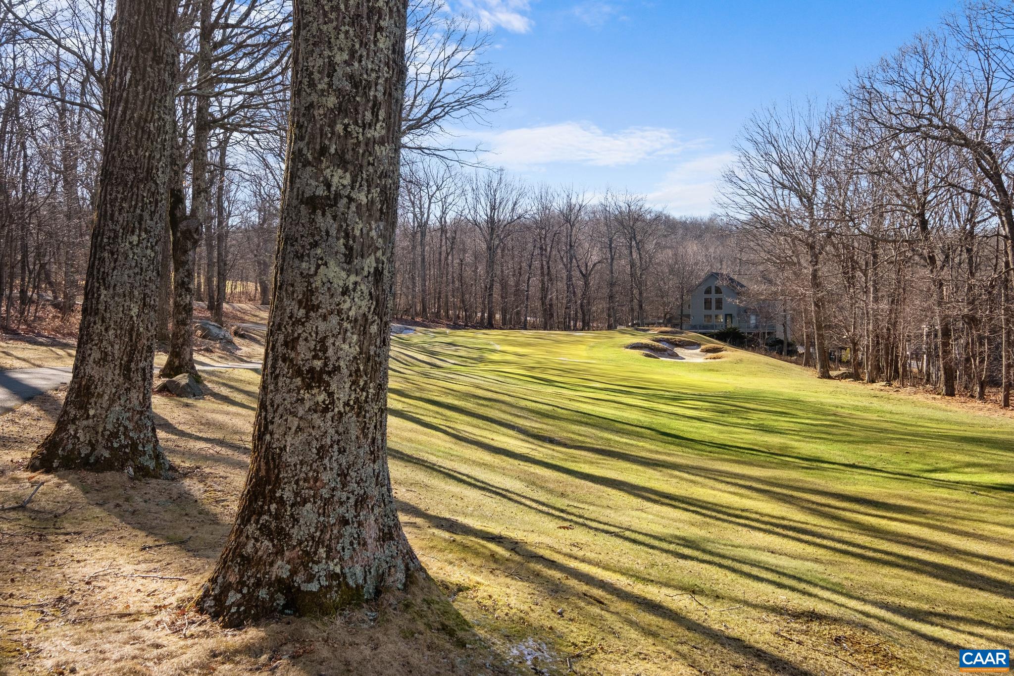 229 FAWN RIDGE DR