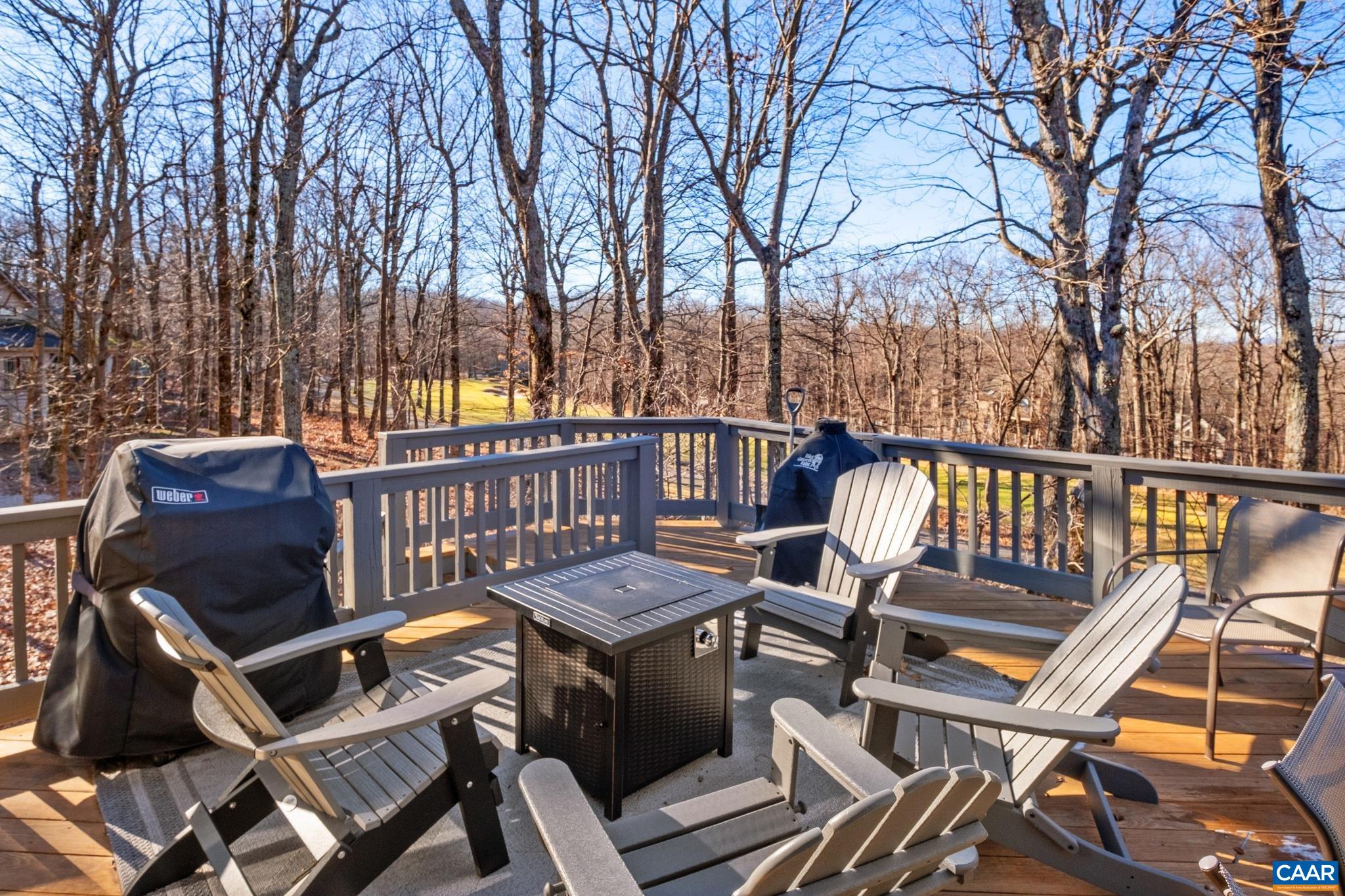 229 FAWN RIDGE DR
