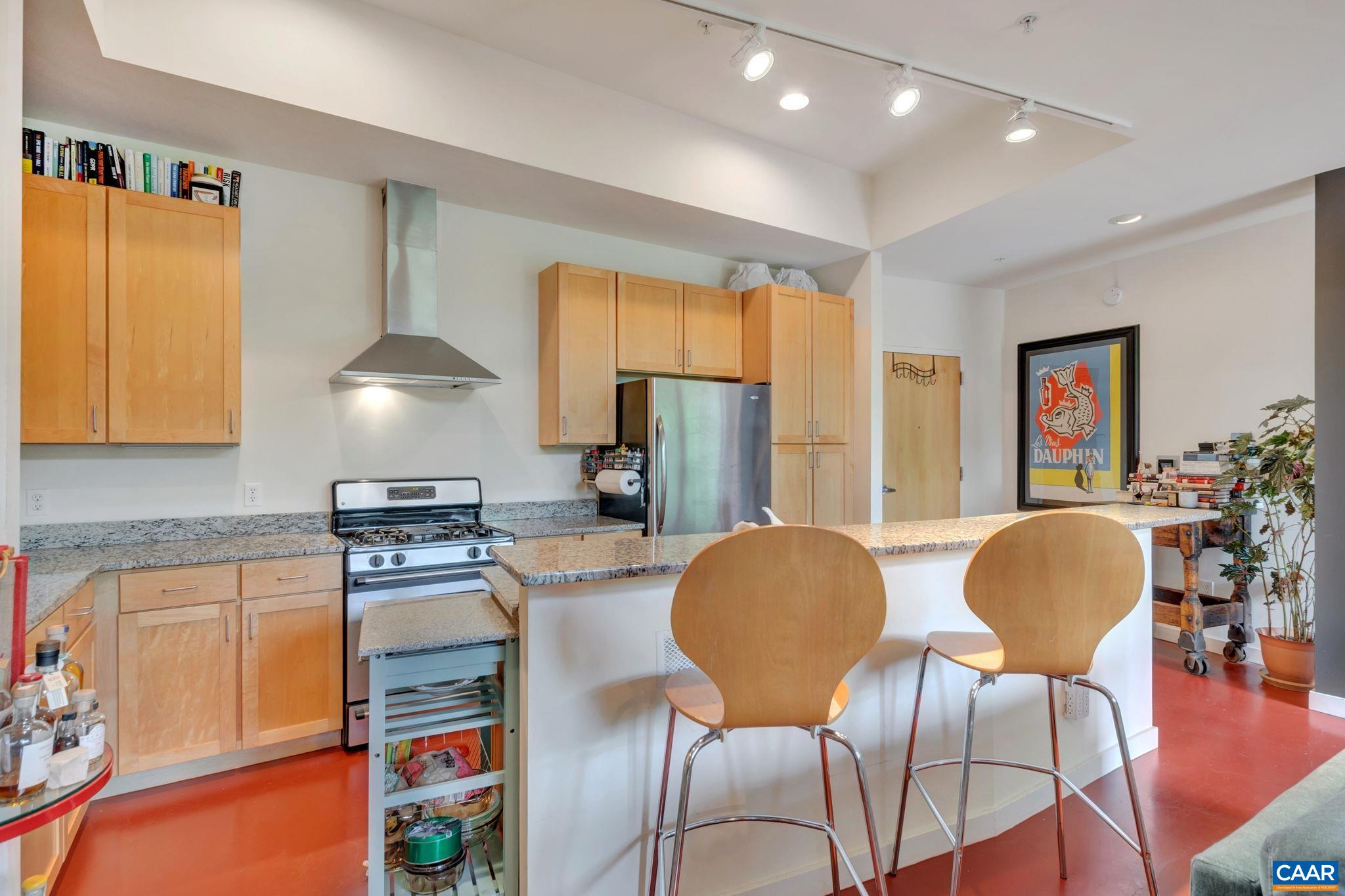 202 DOUGLAS AVE Unit: 2E