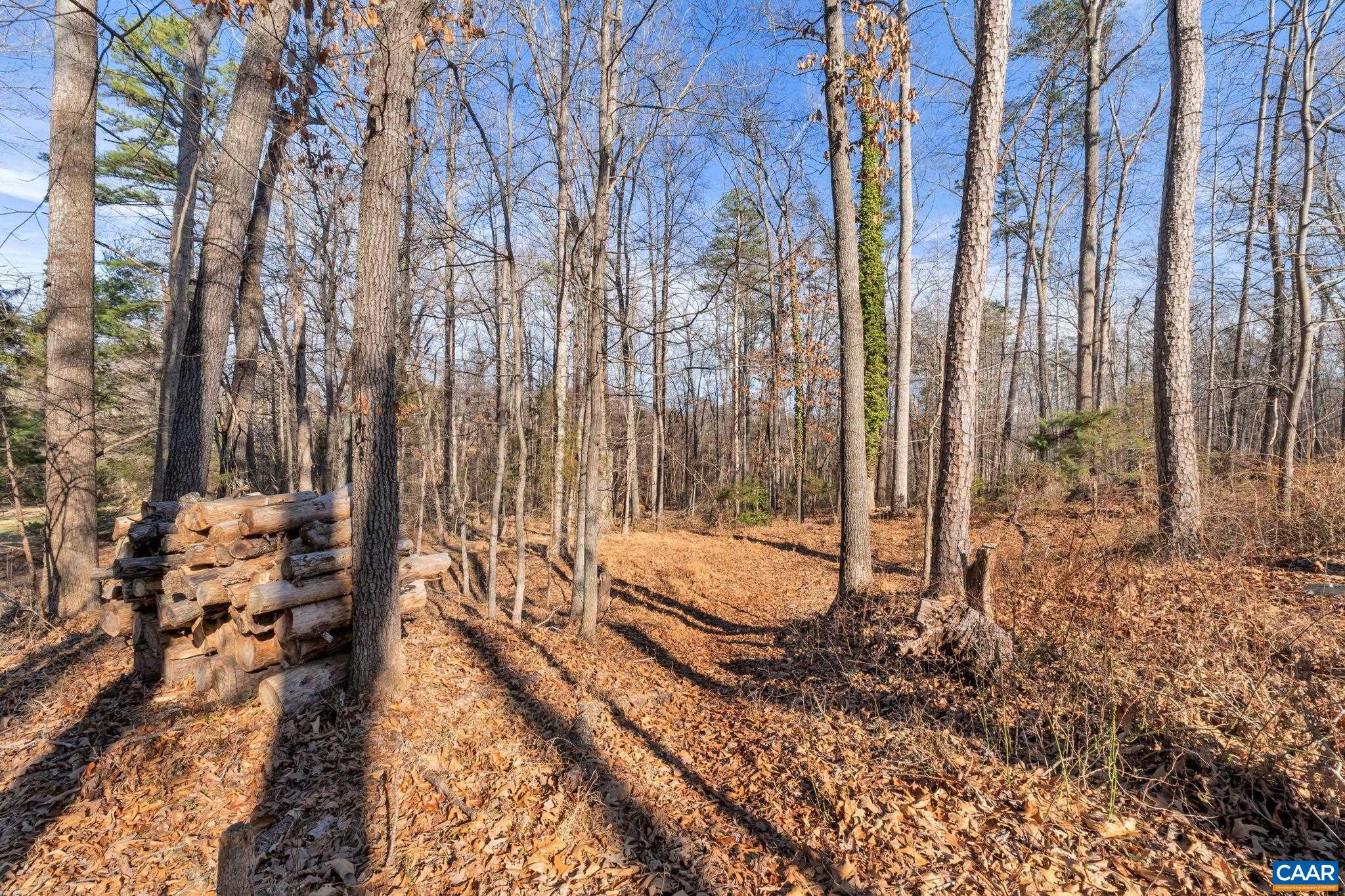 352 BUCK MOUNTAIN RD