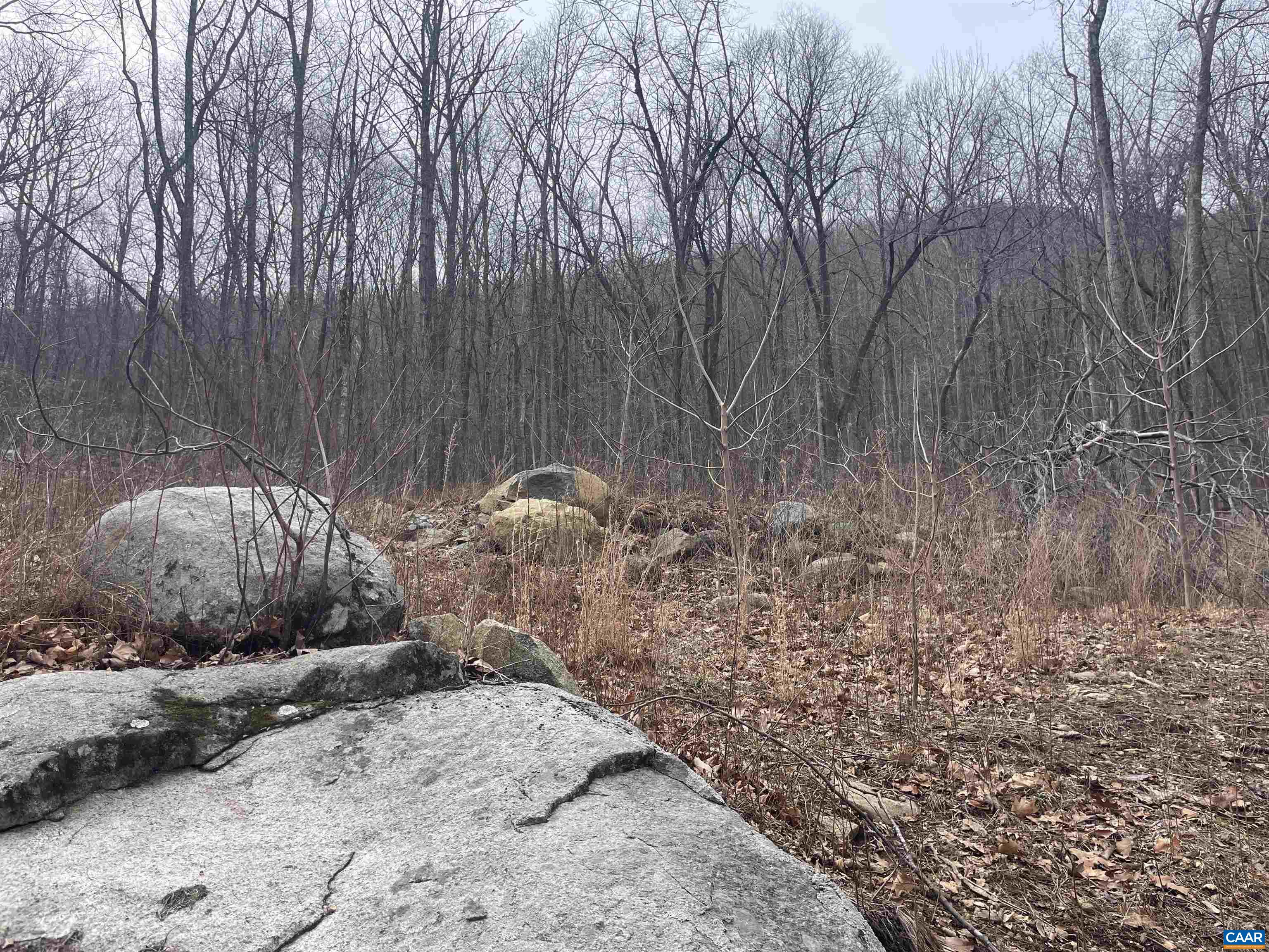 TBD CUB CREEK RD Unit: 1B