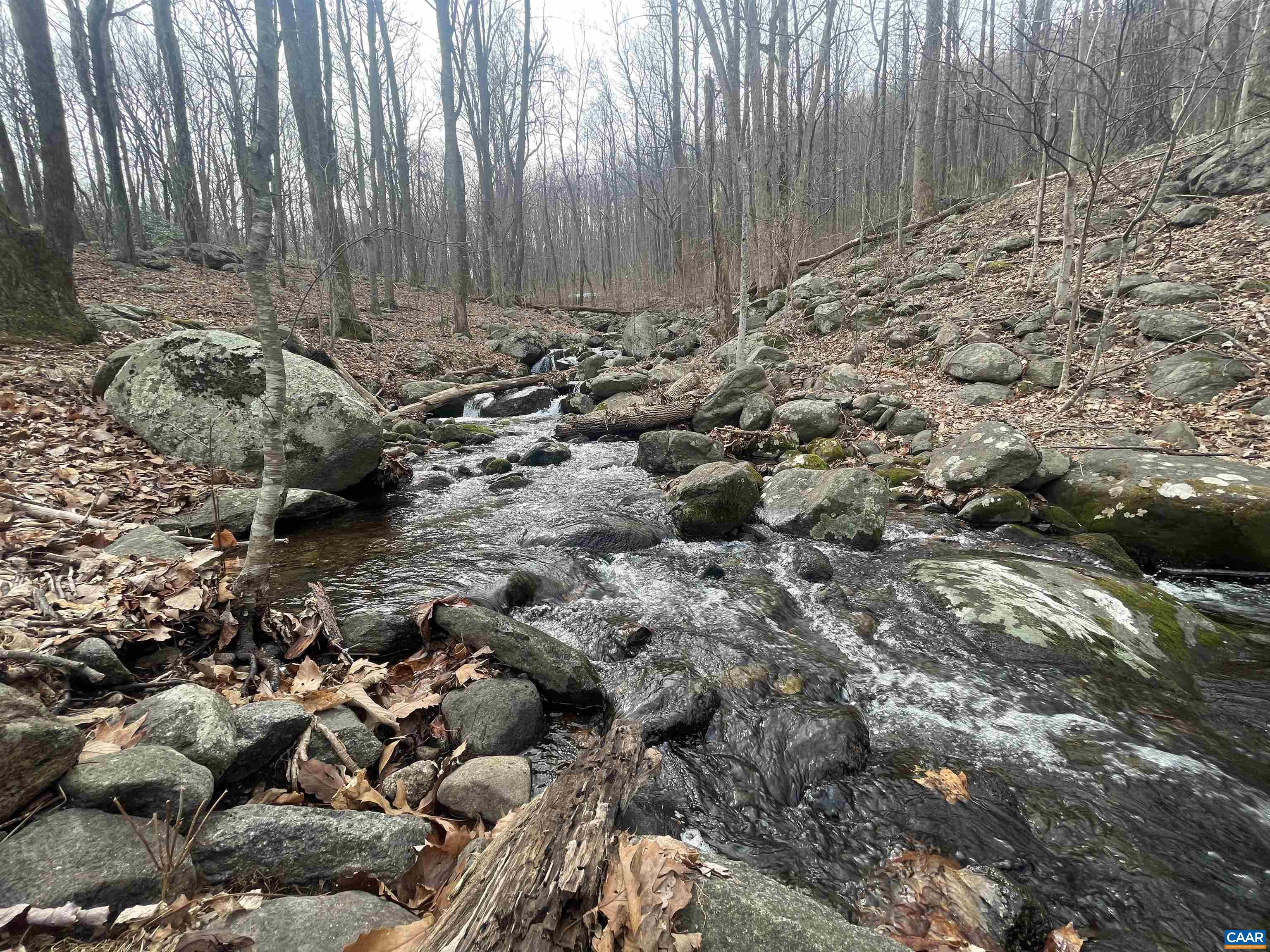 TBD CUB CREEK RD Unit: 1B