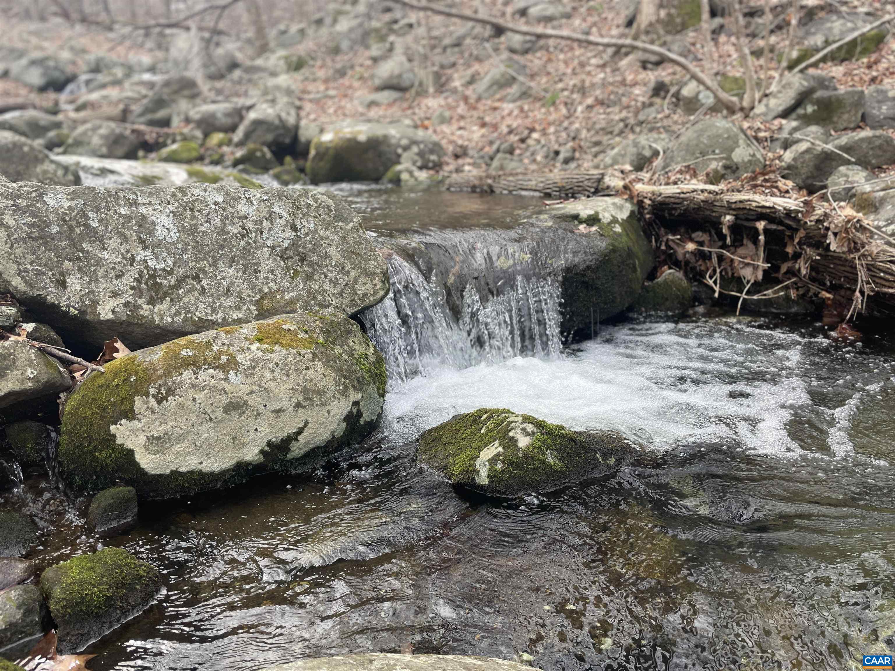 TBD CUB CREEK RD Unit: 1B