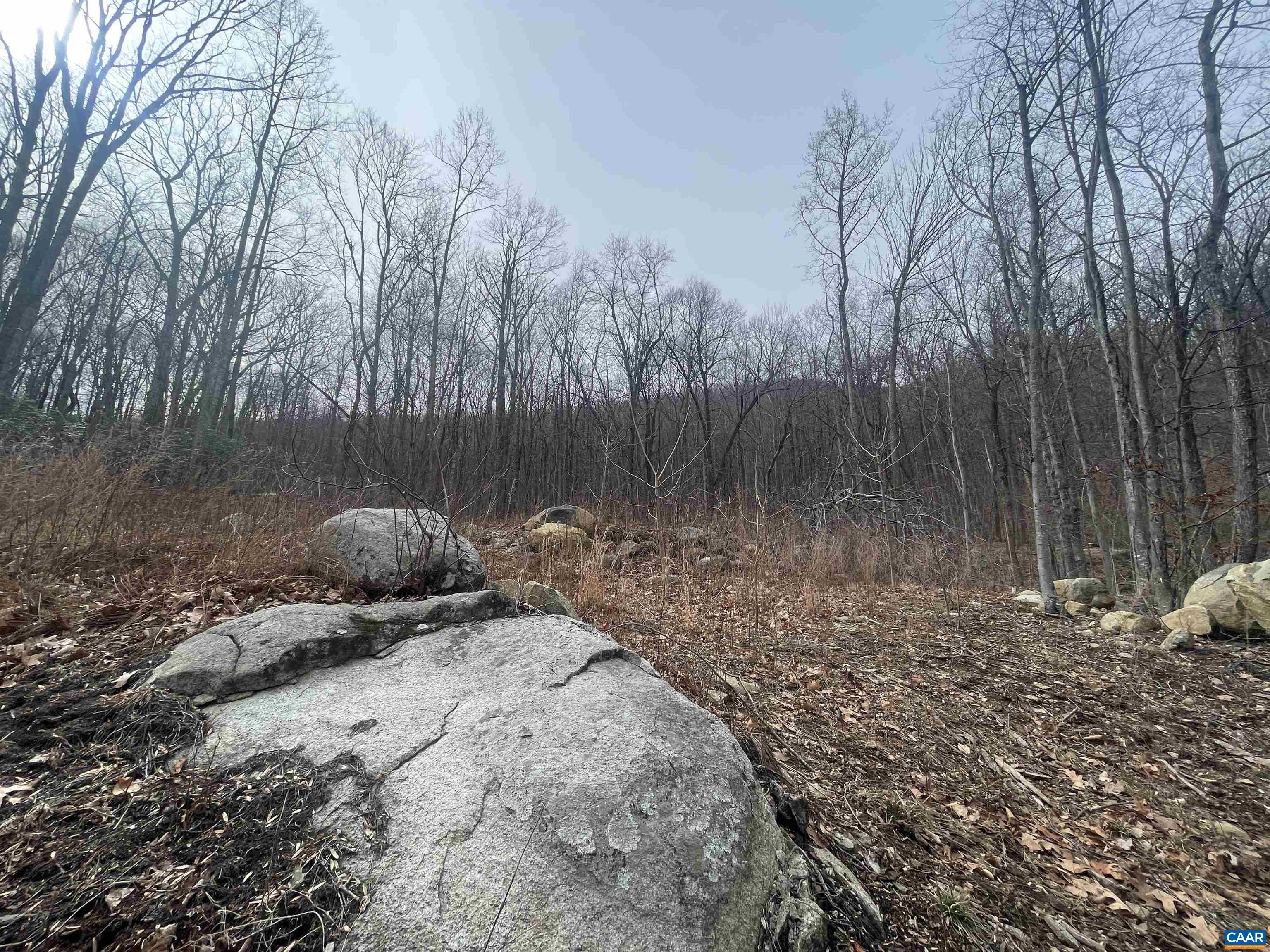 TBD CUB CREEK RD Unit: 1B