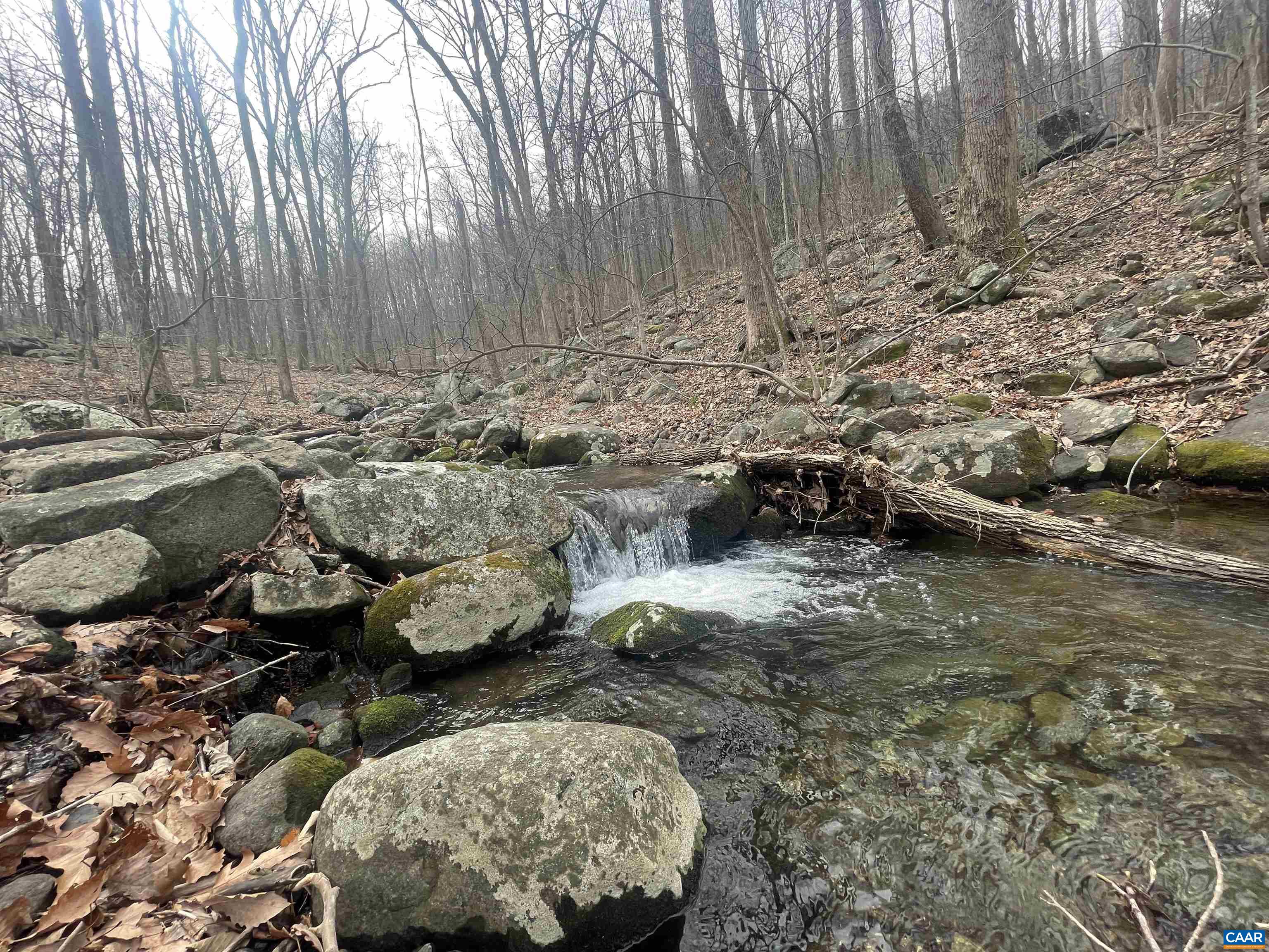 TBD CUB CREEK RD Unit: 1B