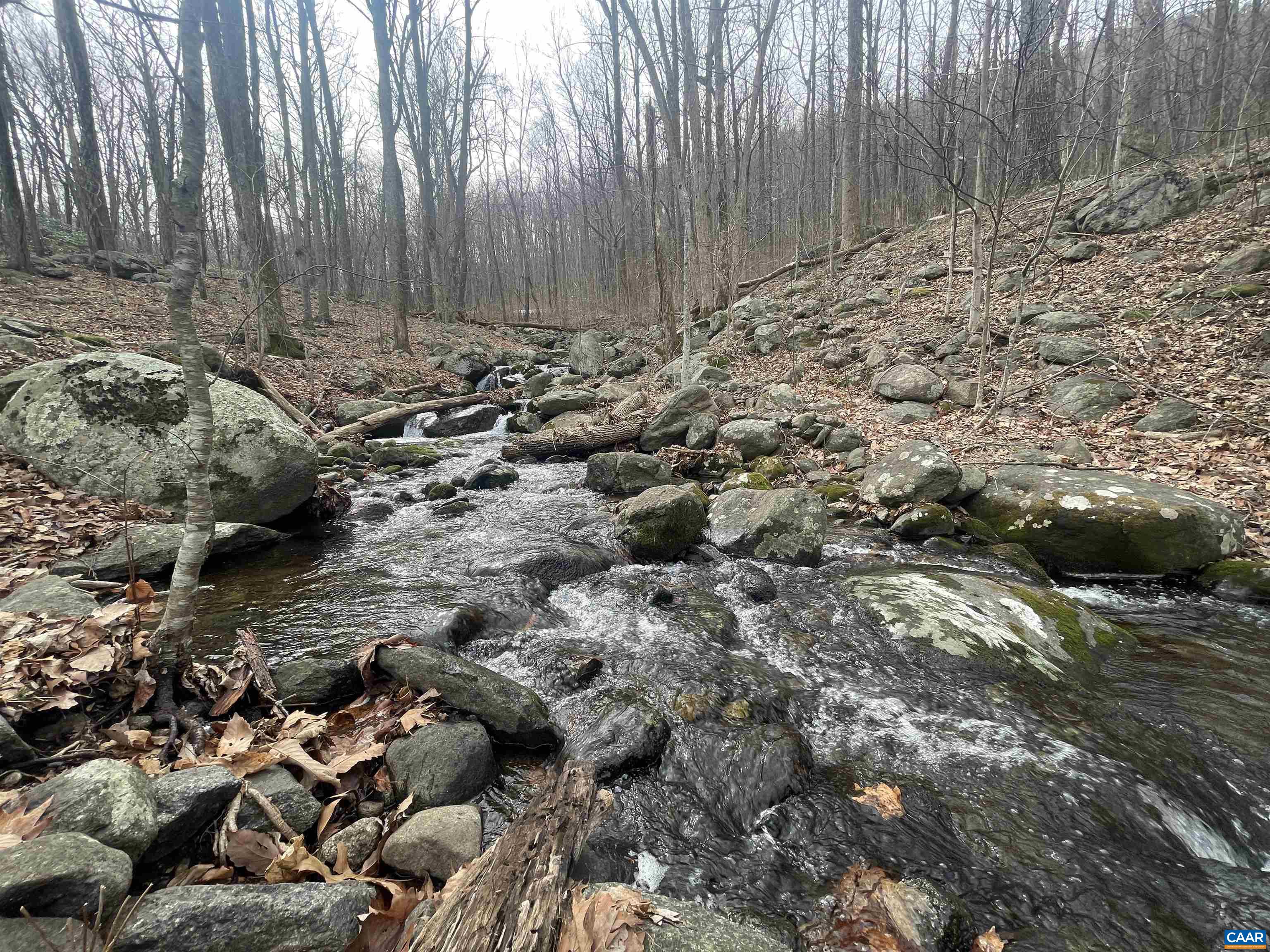 TBD CUB CREEK RD Unit: 1B