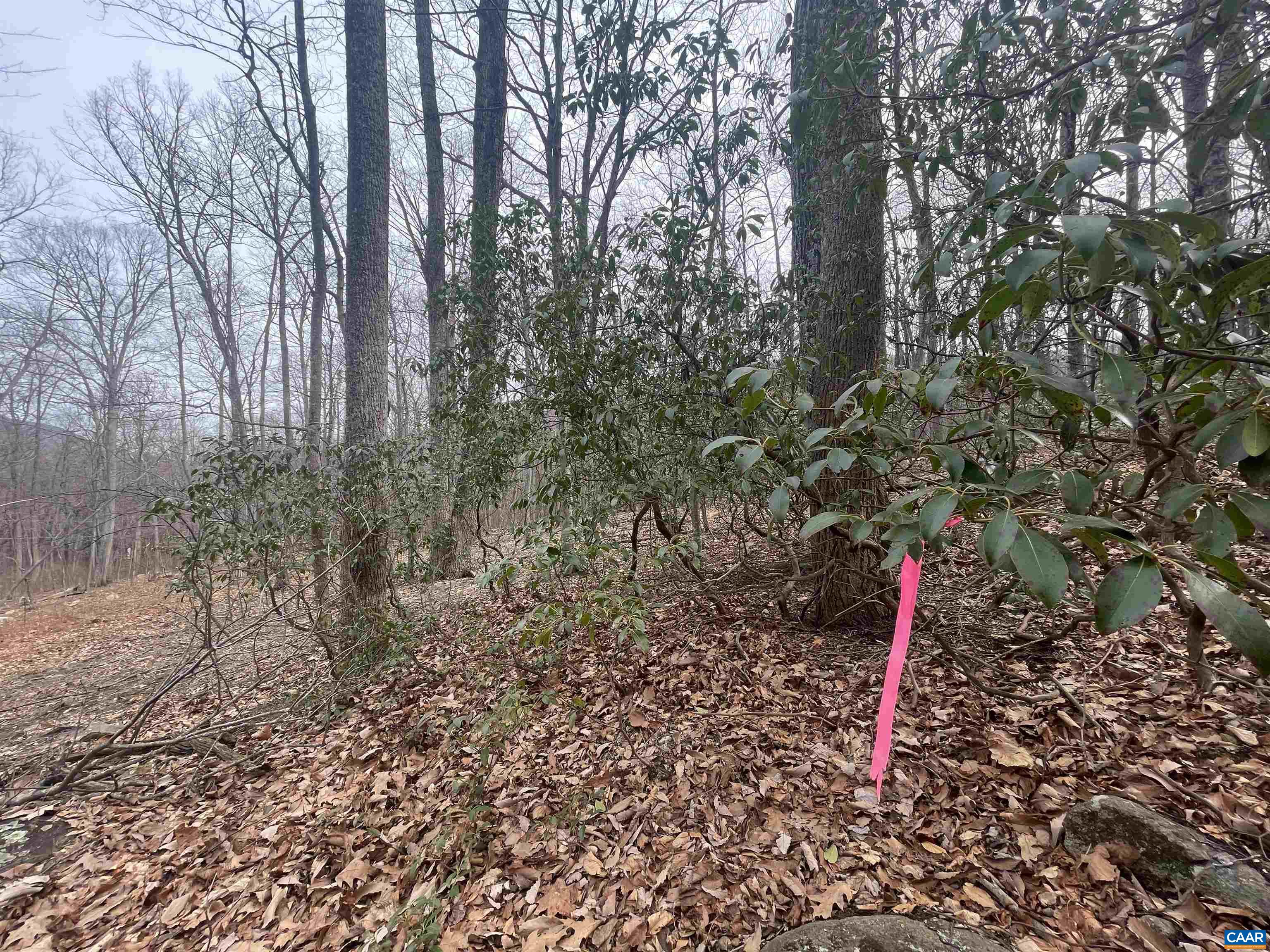 TBD CUB CREEK RD Unit: 1B