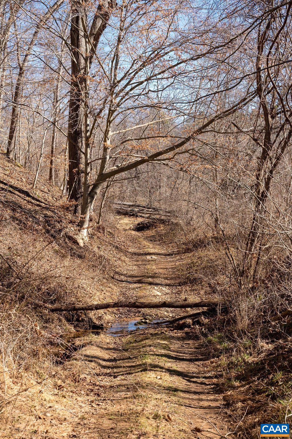 TBD ROCKFISH GAP TPKE