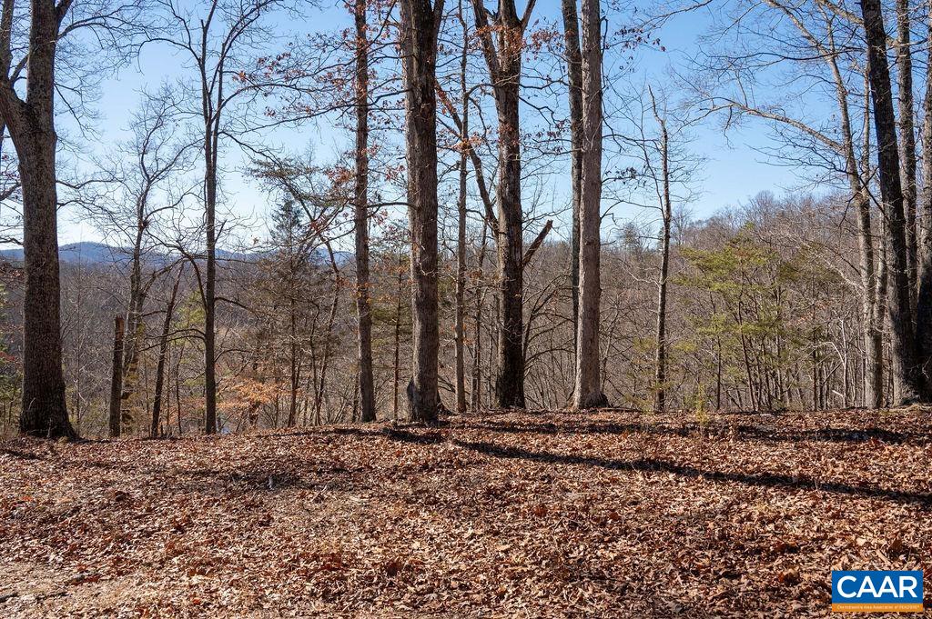 TBD ROCKFISH GAP TPKE