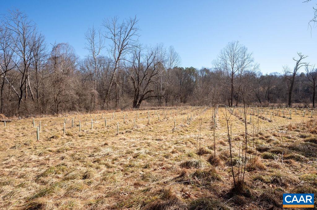 TBD ROCKFISH GAP TPKE